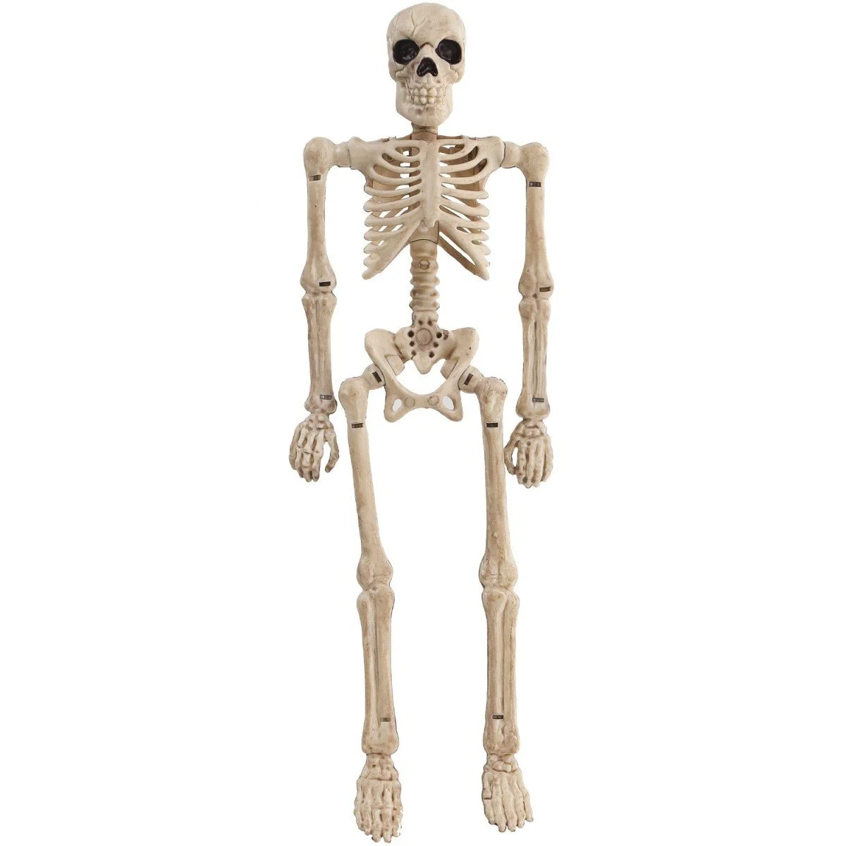 Mini Skeleton 8in
