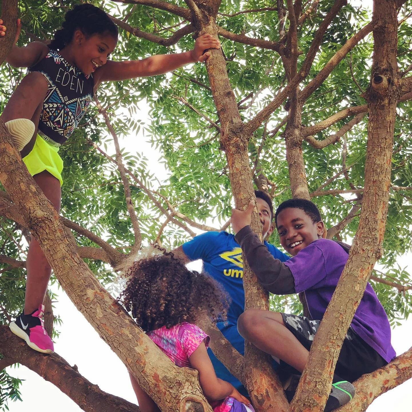I don&rsquo;t ever want to forget the quality time that #quarantine2020 created. Or the time that we actually thought we could get the kids to practice social distancing. Looked up and they were in a tree...together. 🤦🏾&zwj;♀️ 😷 🌳😍