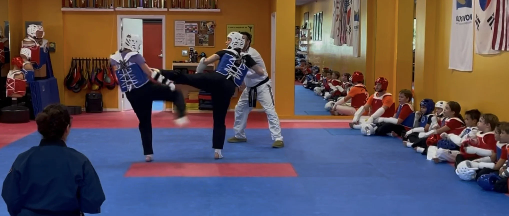 Taekwondo Sparring: Art or Action?