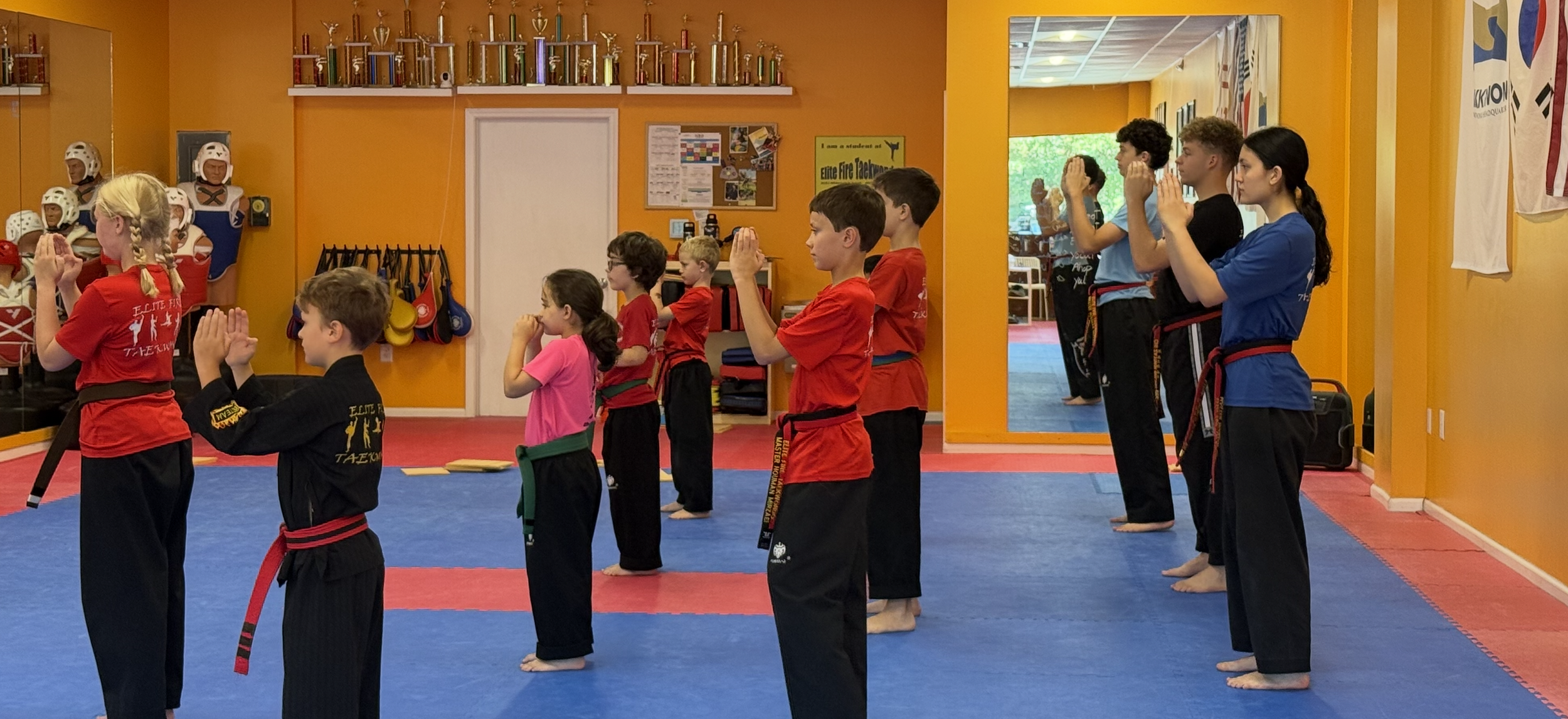 Taekwondo Forms: The Pattern of Self-Defense