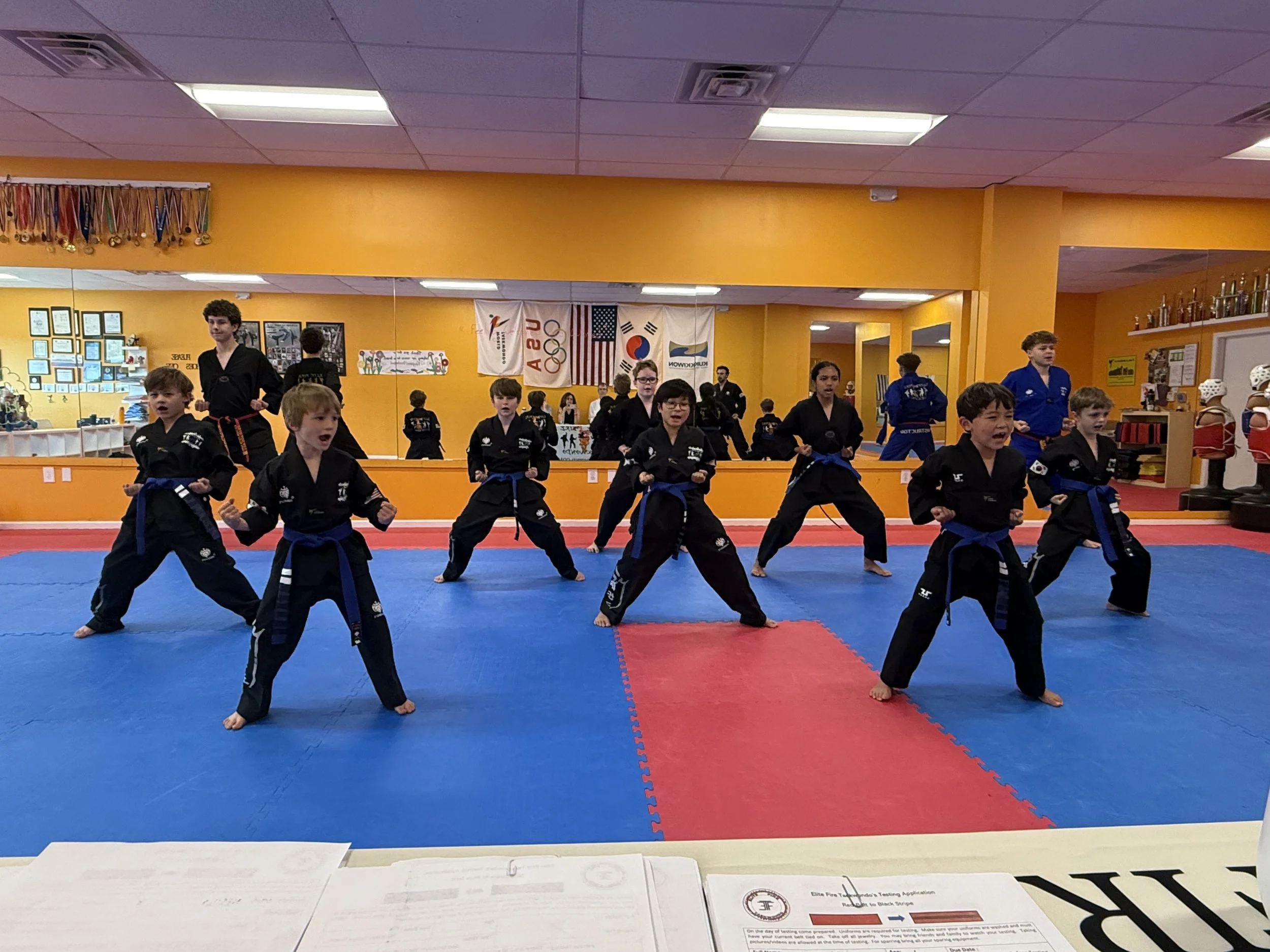 Black Belt Qualifier #2