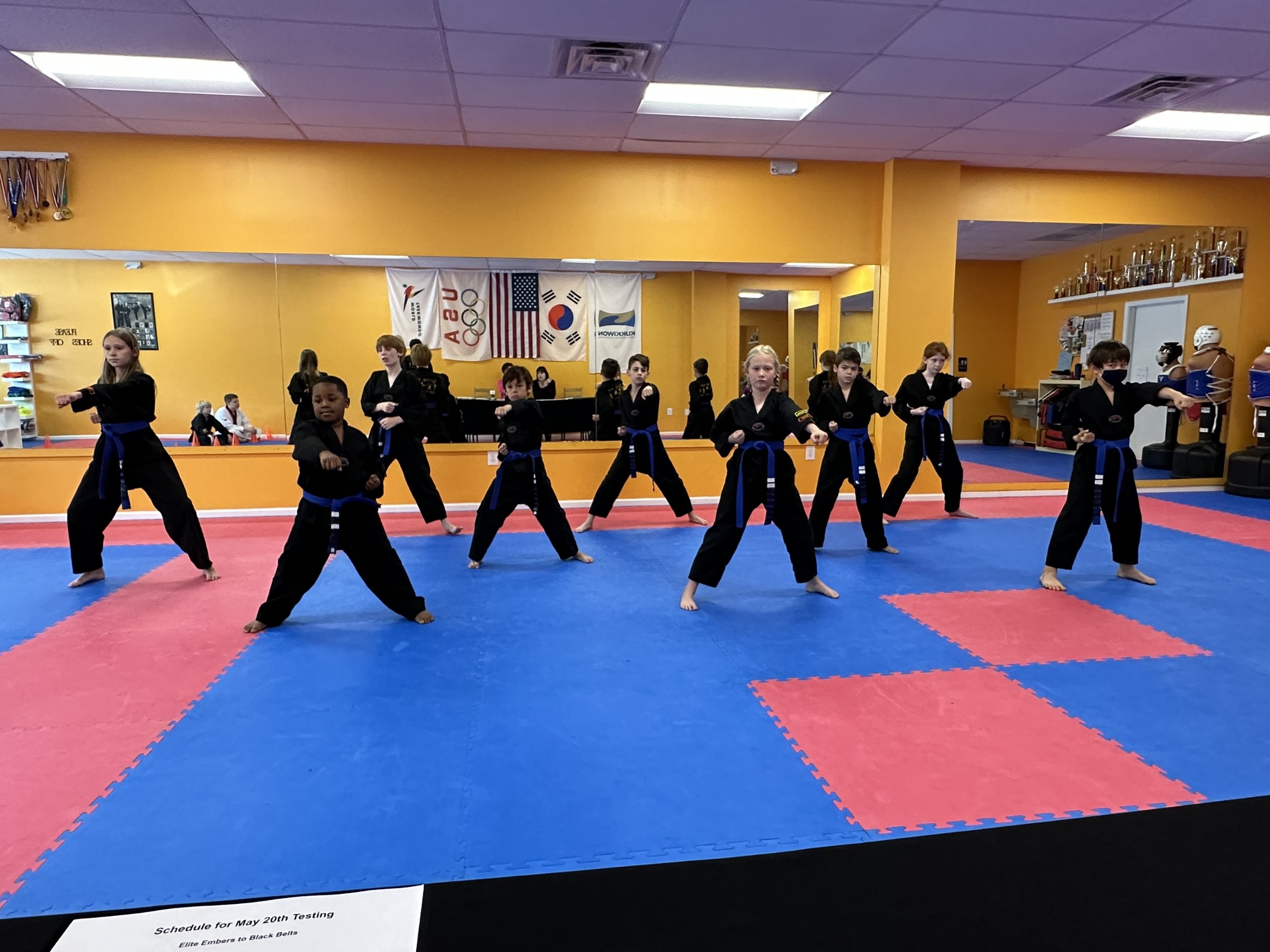 Black Belt Qualifier #3