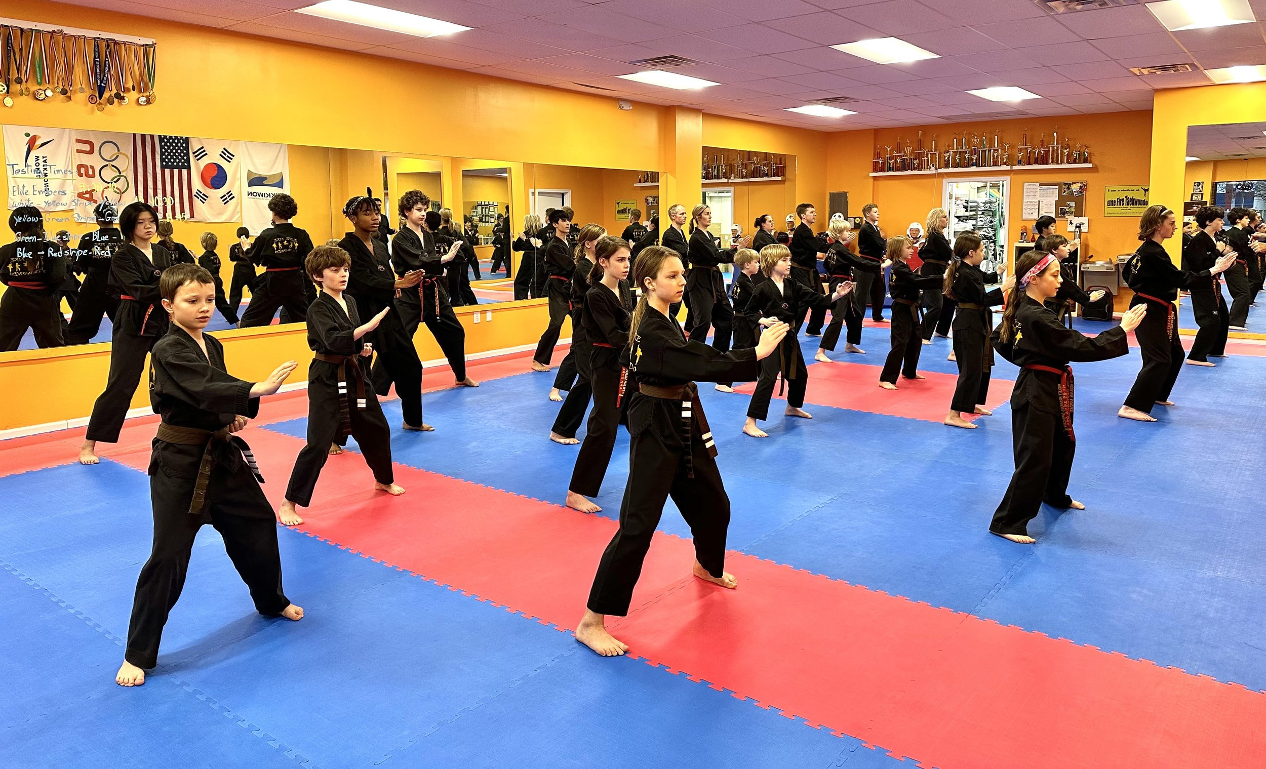 Poomsae Seminar