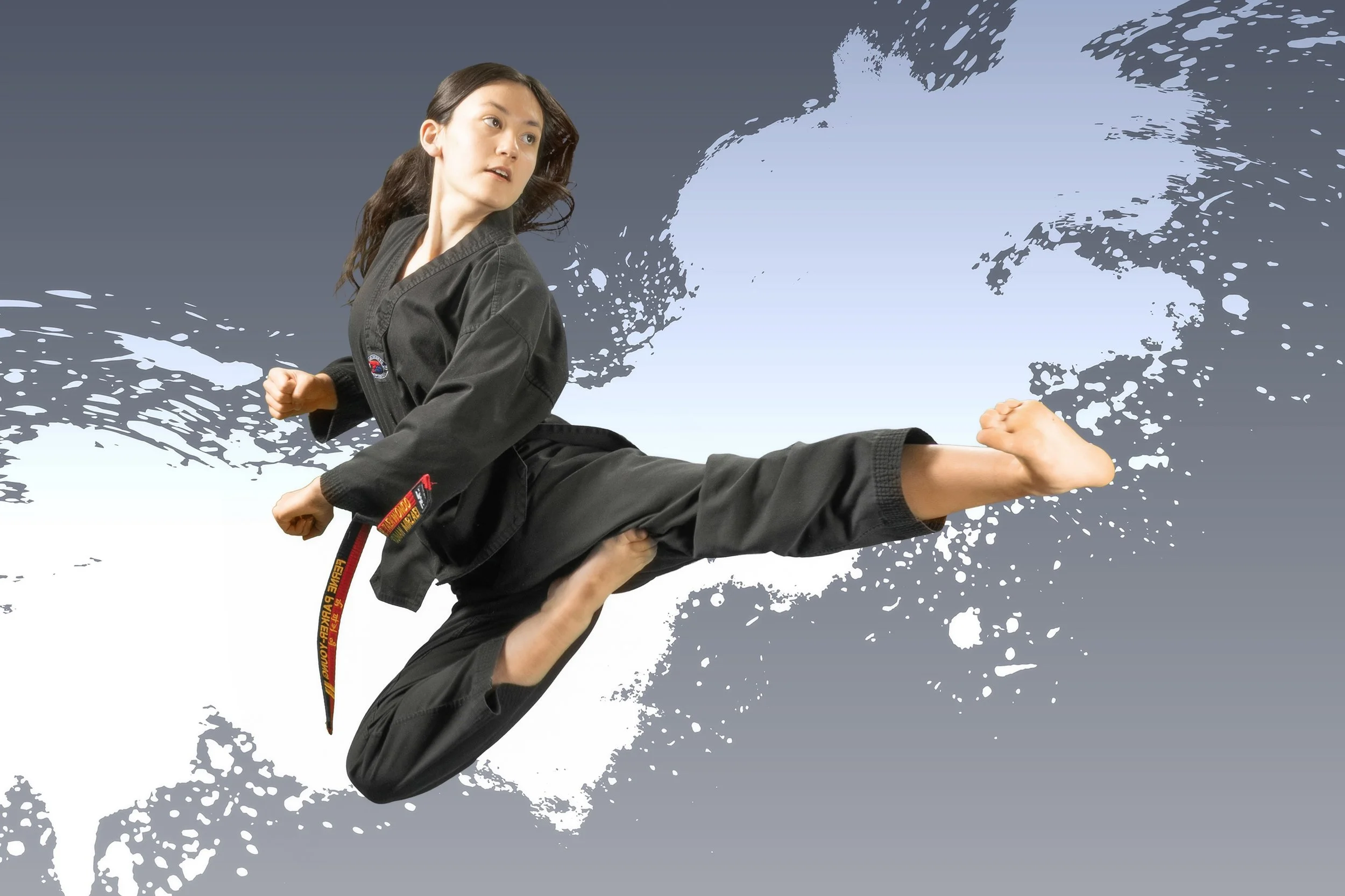 Elite Fire Taekwondo Raleigh NC Taekwondo Raleigh NC8.jpg