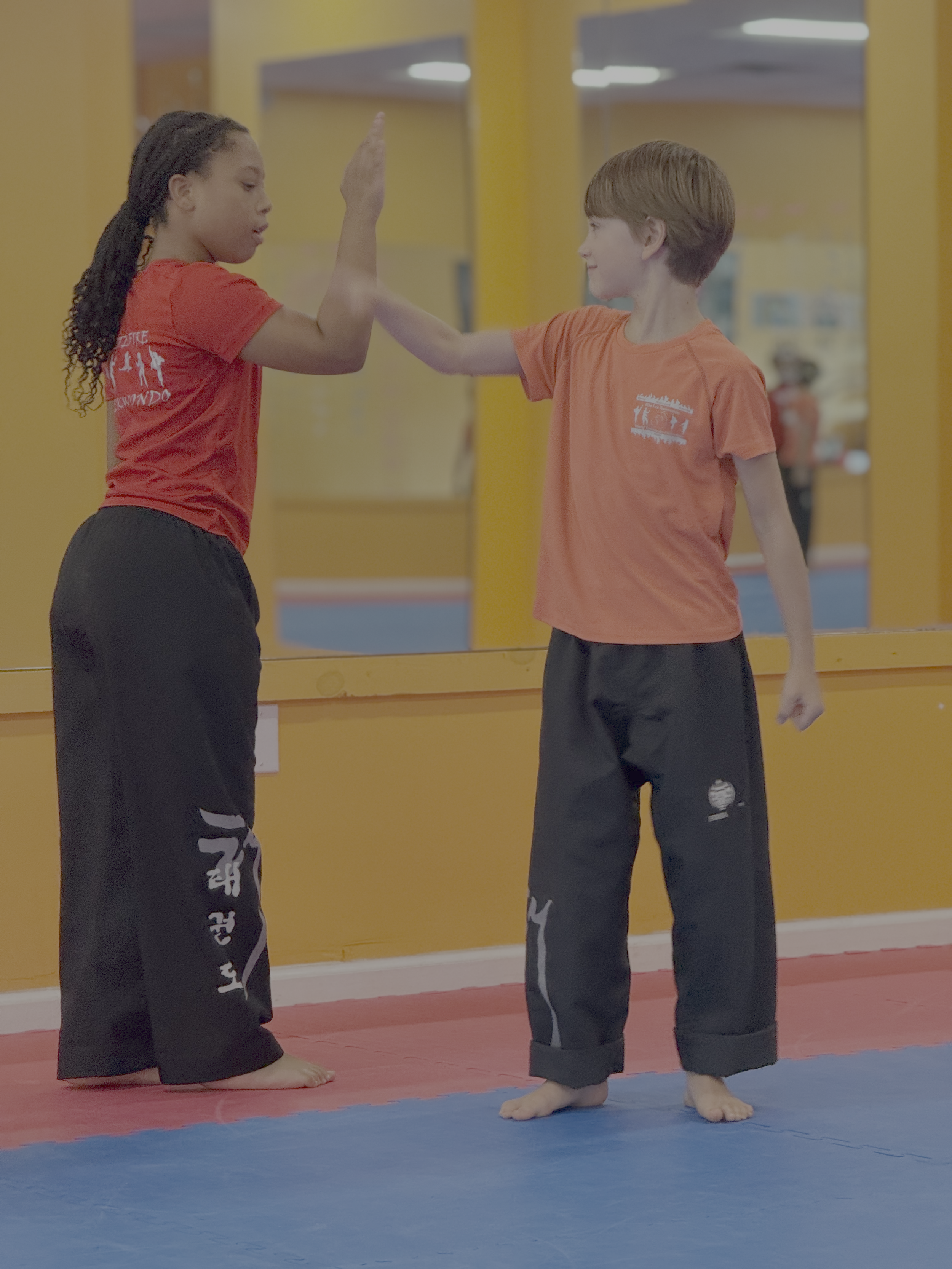 Summer Camp Raleigh NC Elite Fire Taekwondo Raleigh NC