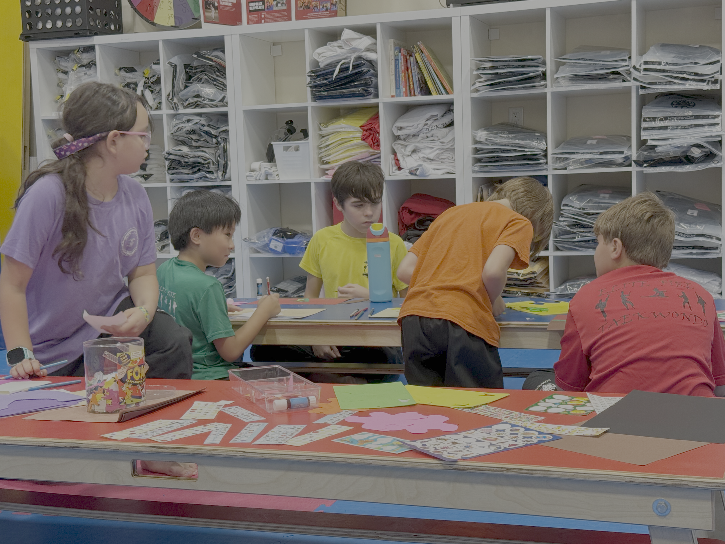 Elite Fire Taekwondo Summer Camp 