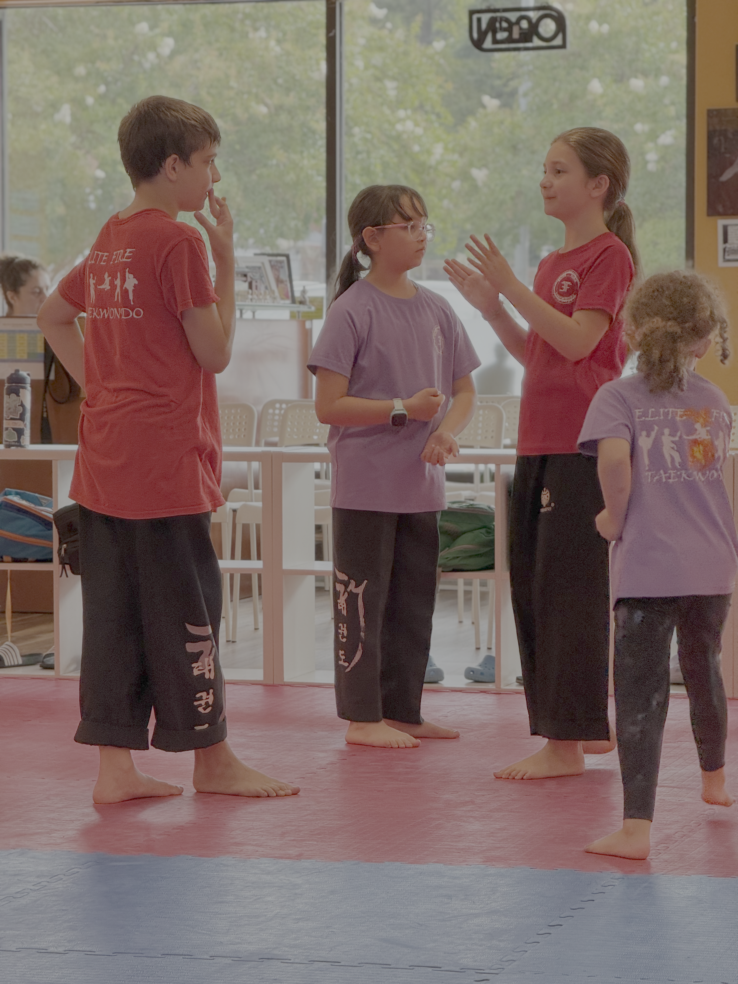 Elite Fire Taekwondo Summer Camp 