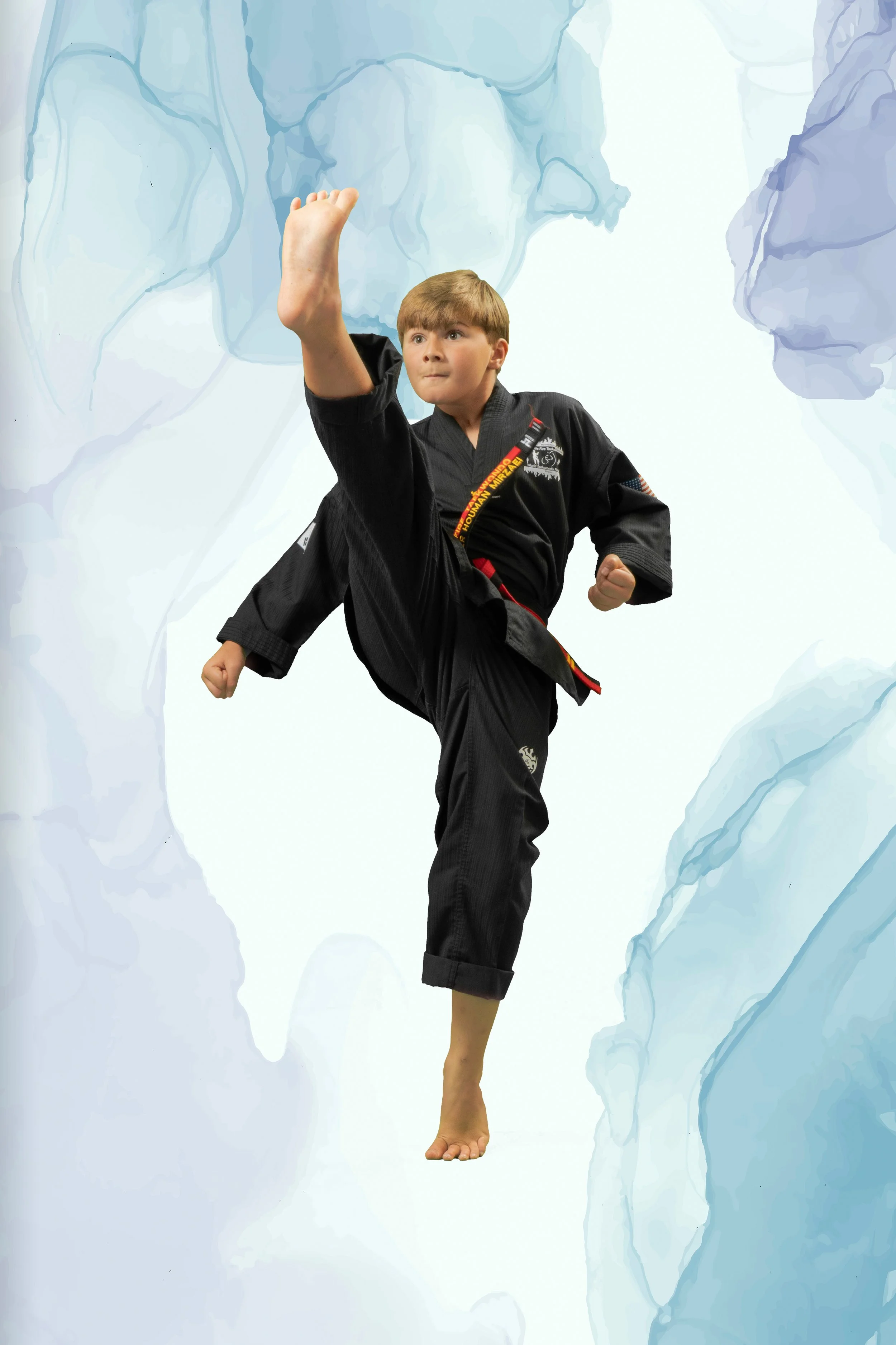 Elite Fire Taekwondo Raleigh NC Taekwondo Raleigh NC6.jpg