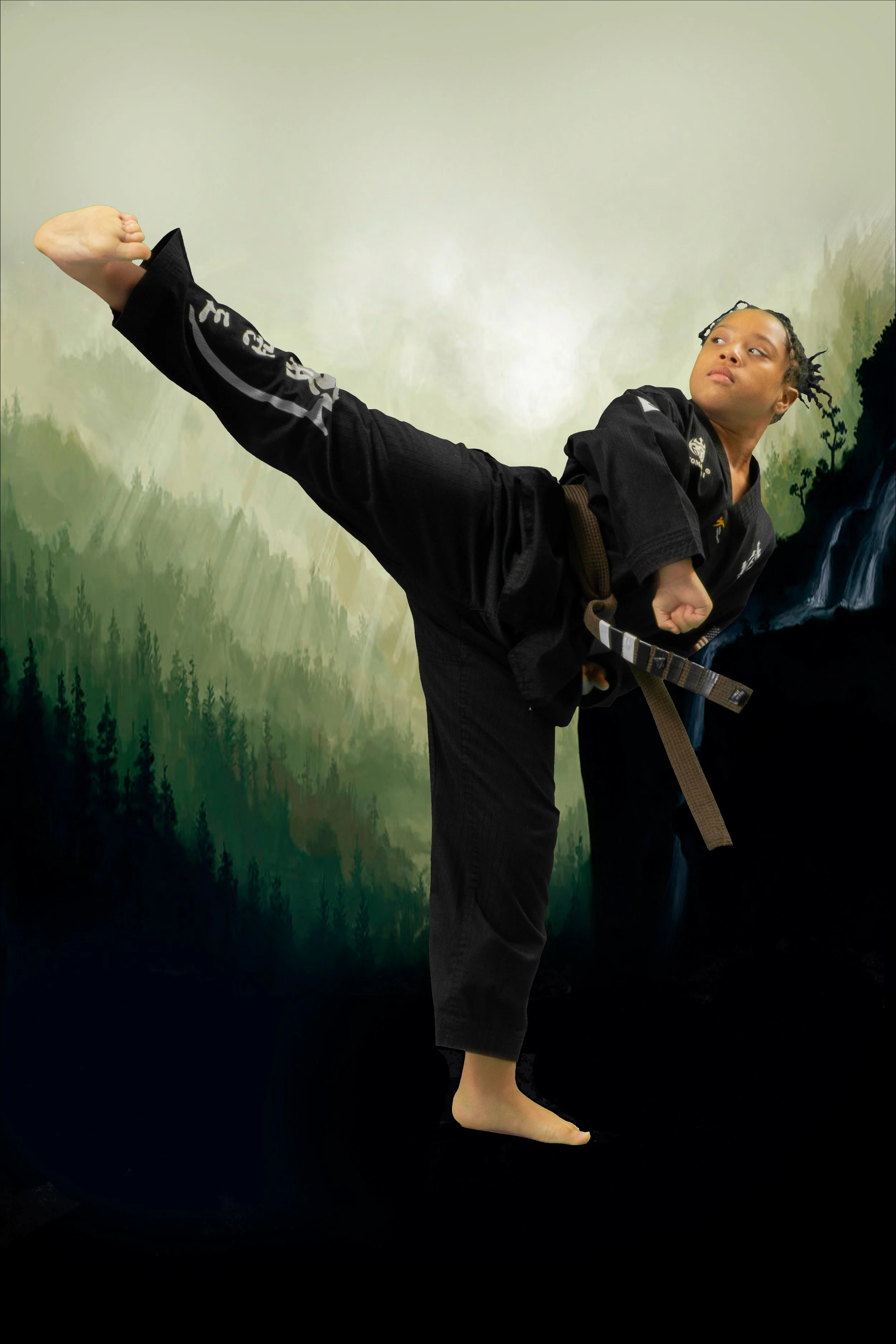 Elite Fire Taekwondo Raleigh NC Taekwondo Raleigh NC10.jpg