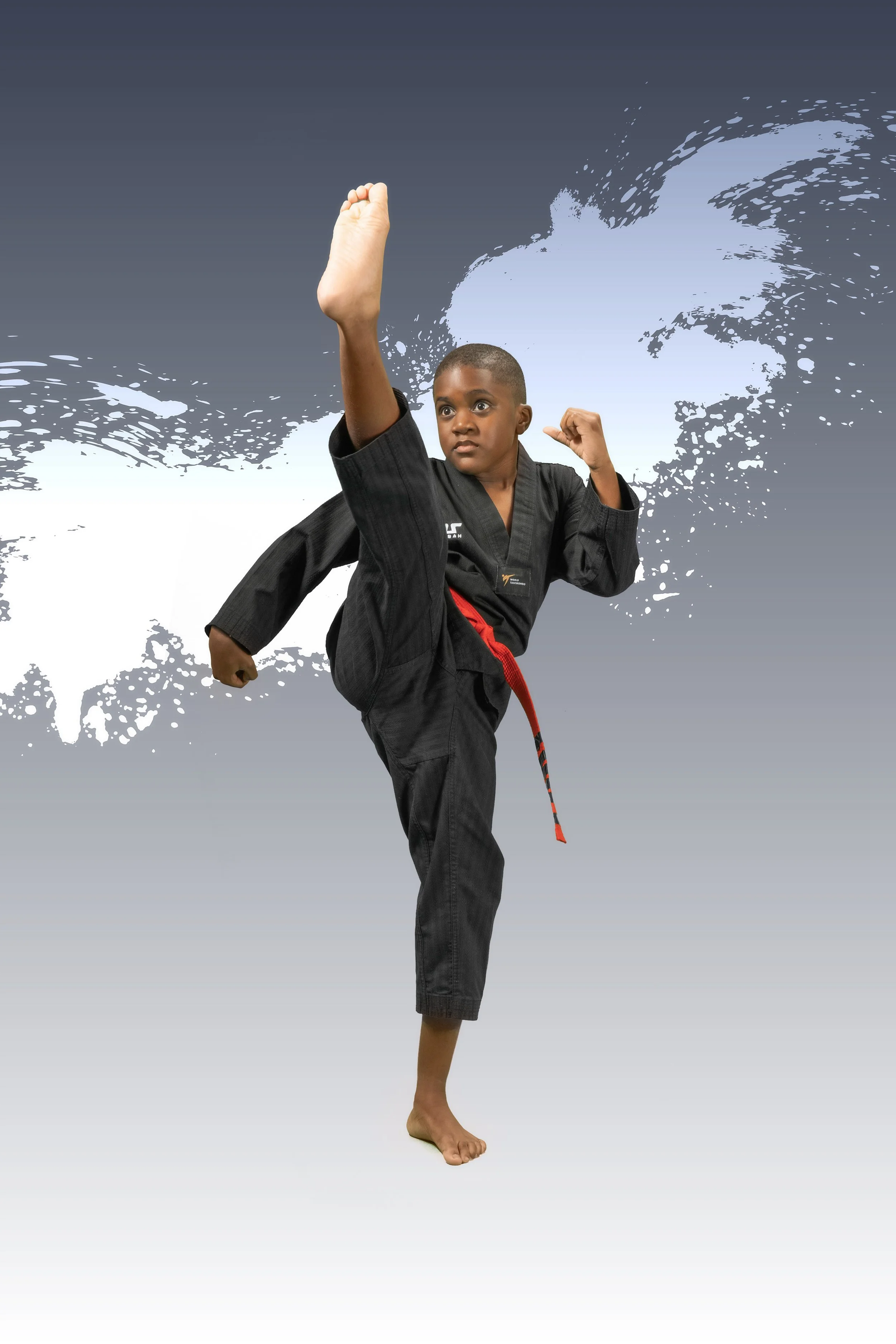 Elite Fire Taekwondo Raleigh NC Taekwondo Raleigh NC9.jpg