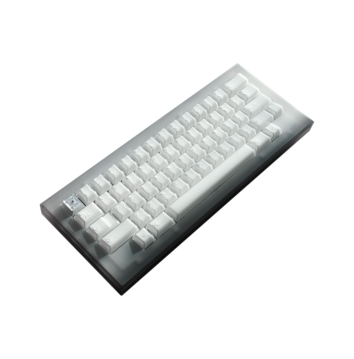 X-Ray Collection — mod musings