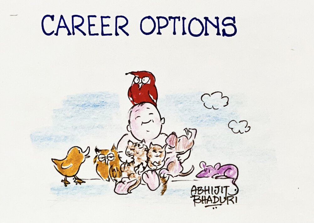 career options.jpeg