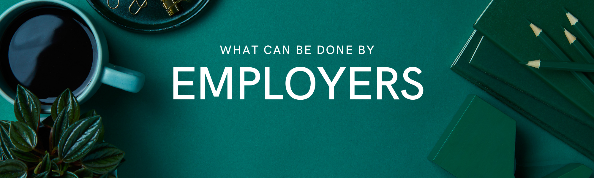What can be done by employers.png