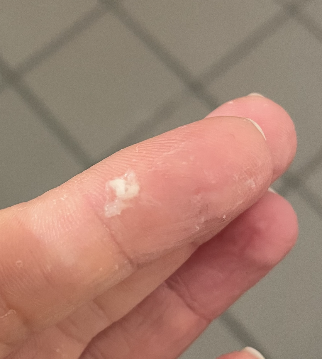 Skærmbillede 2026-02-20 kl. 12.51.15.png