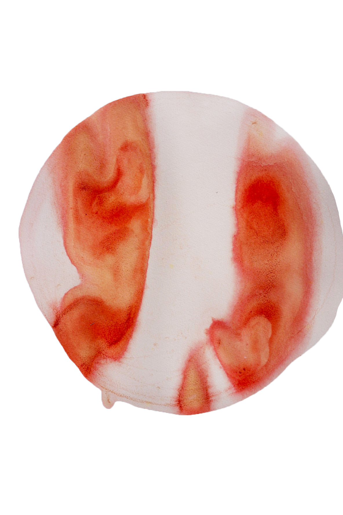 ink made from annato seed, red wine tumeric root and rain water