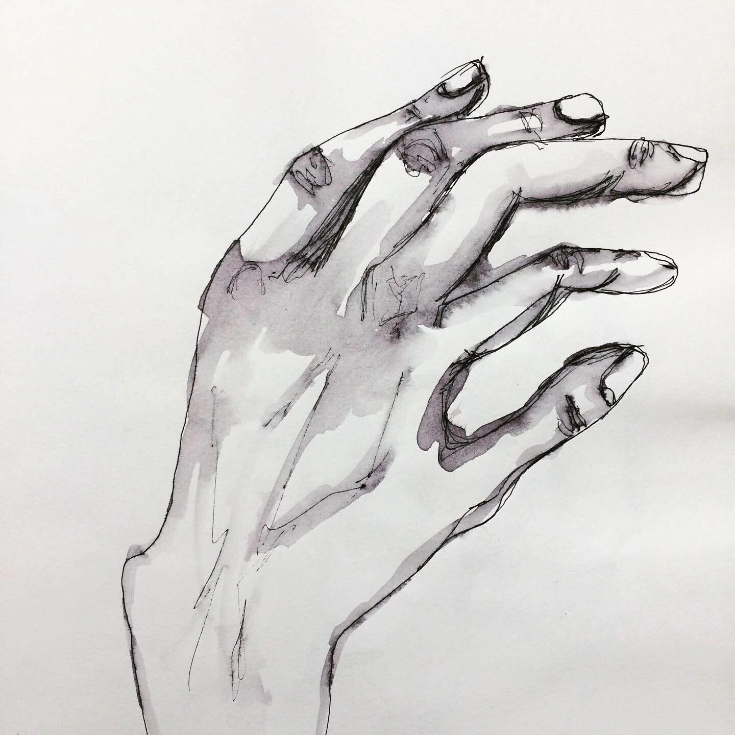 Illustrations