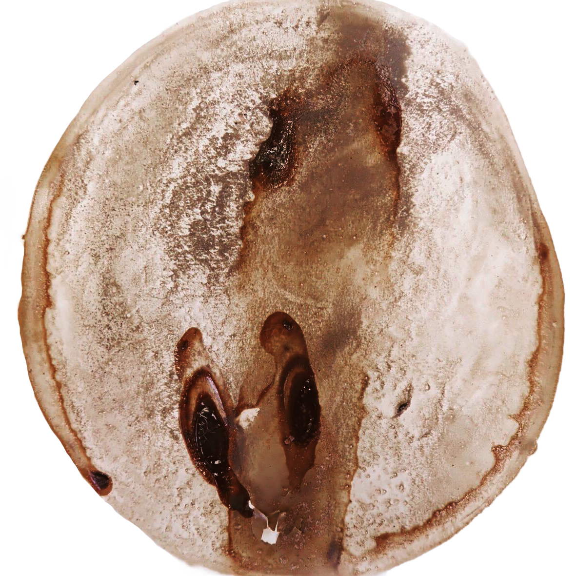 ink made from lime stone collected on the jurassic coast