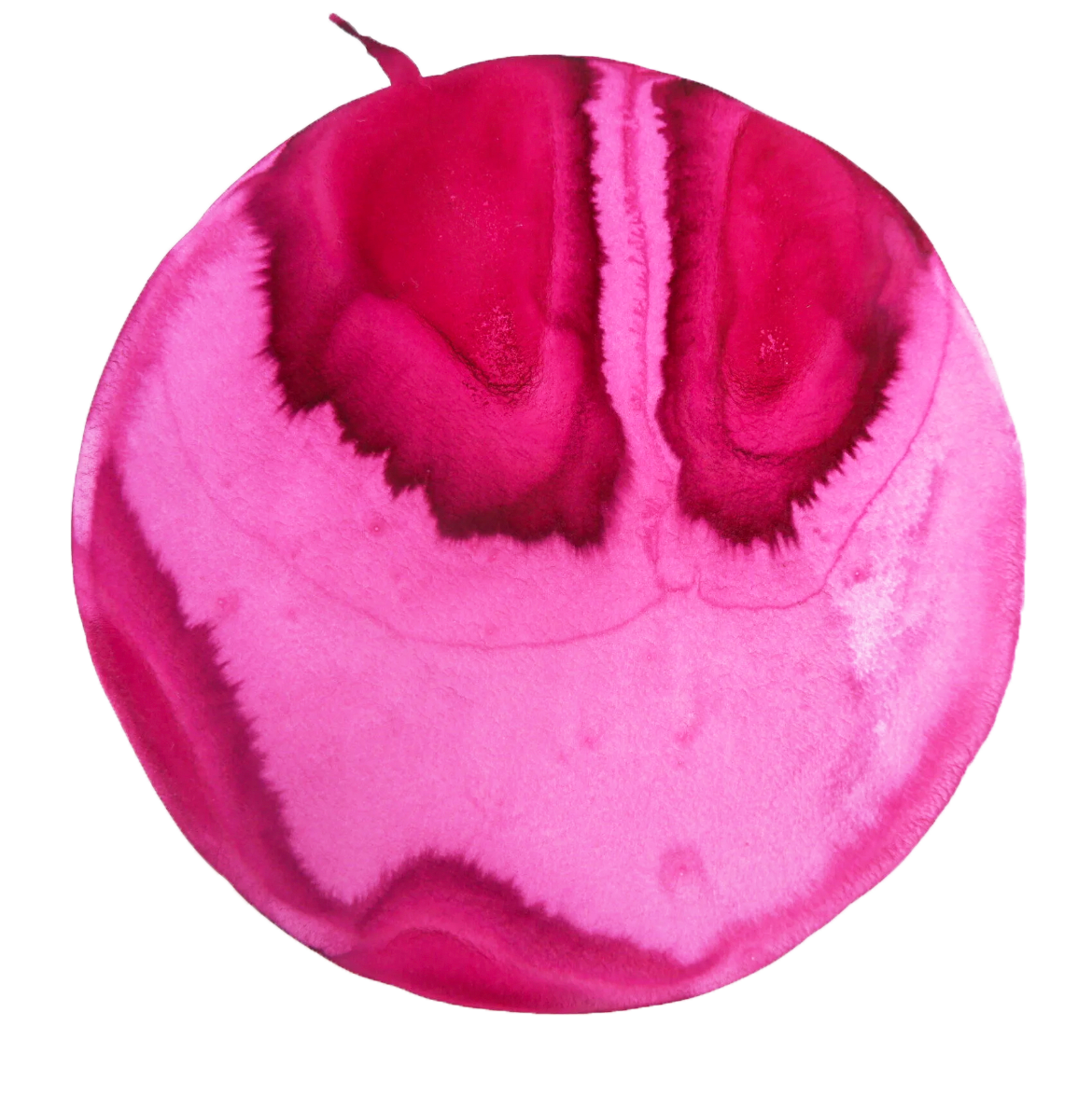 Ink made from Snow and Cochineal