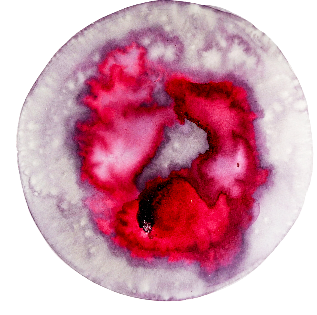 Elerberry ink, Gathered in France 