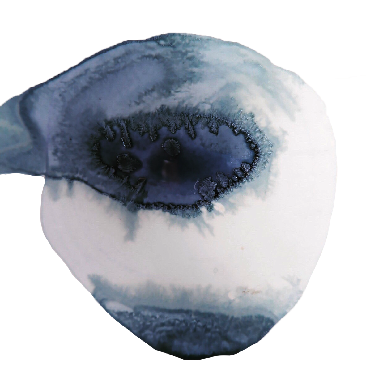 SPRING/SUMMER — ink made from delphinium petal