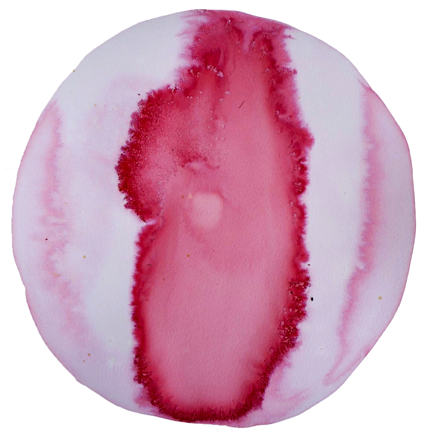 SPRING/SUMMER — ink made form fermented poppy petal