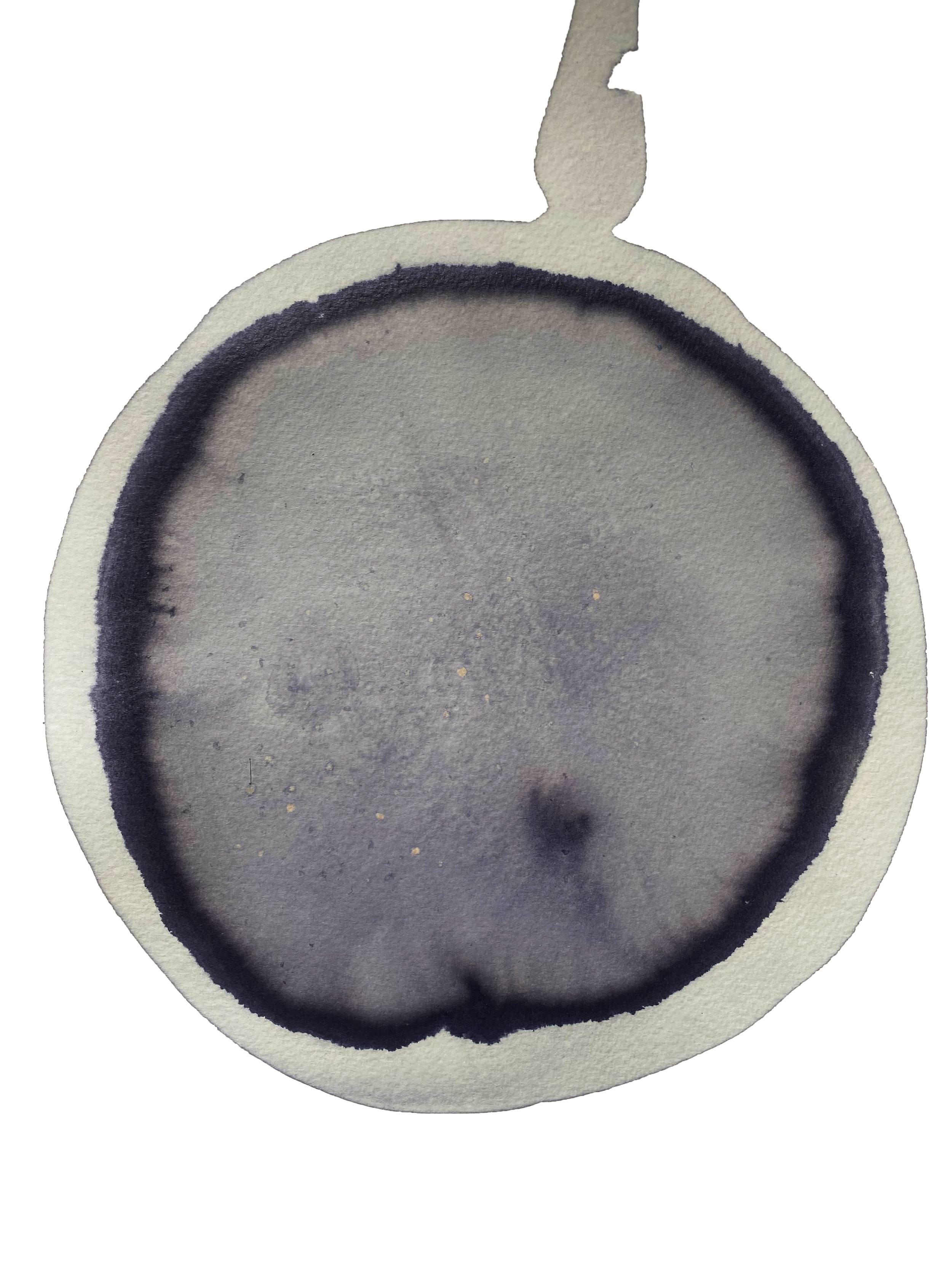 ink made from poppy petal, rust and lemon juice