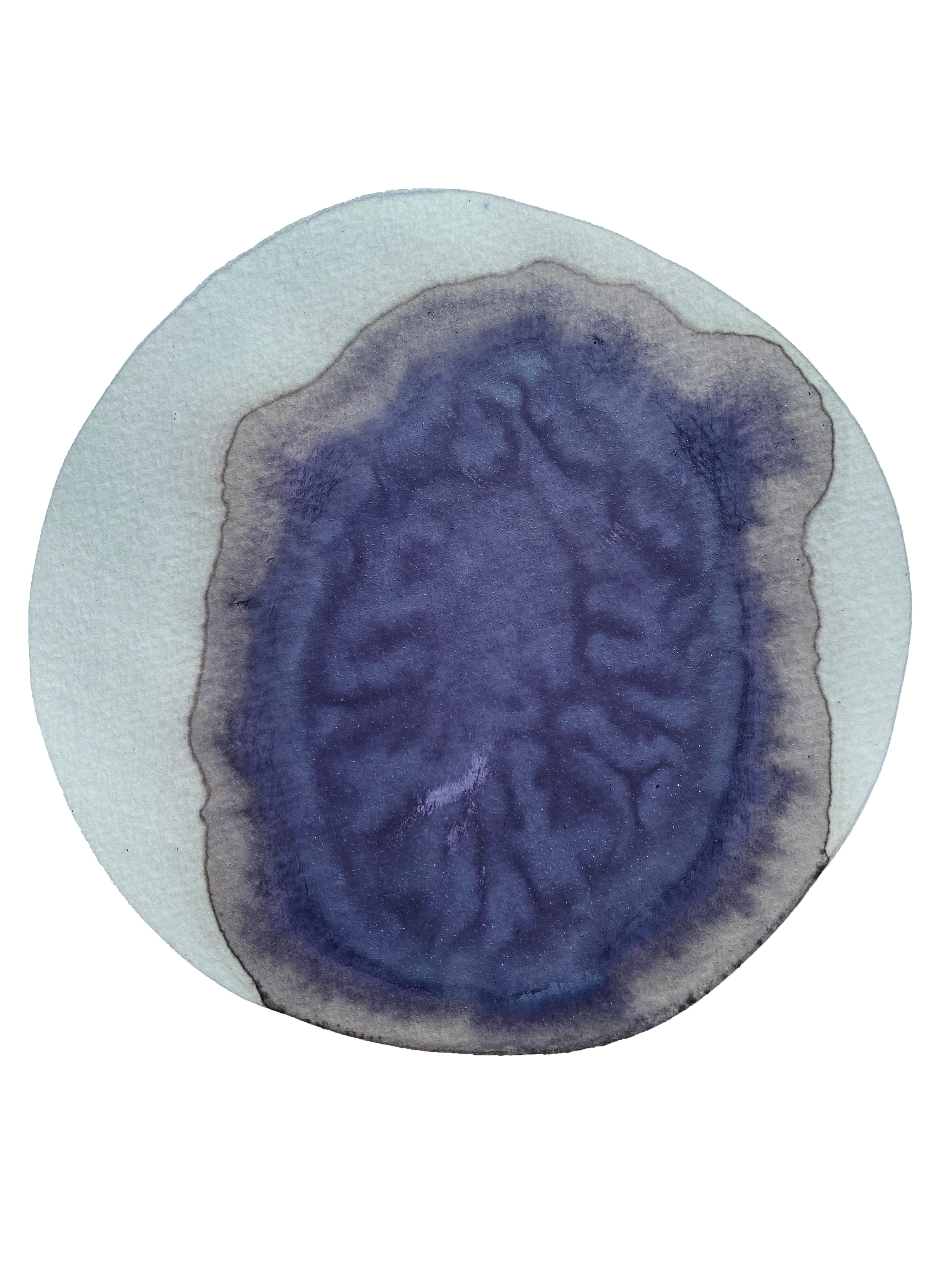 ink made from poppy petal and lemon rind