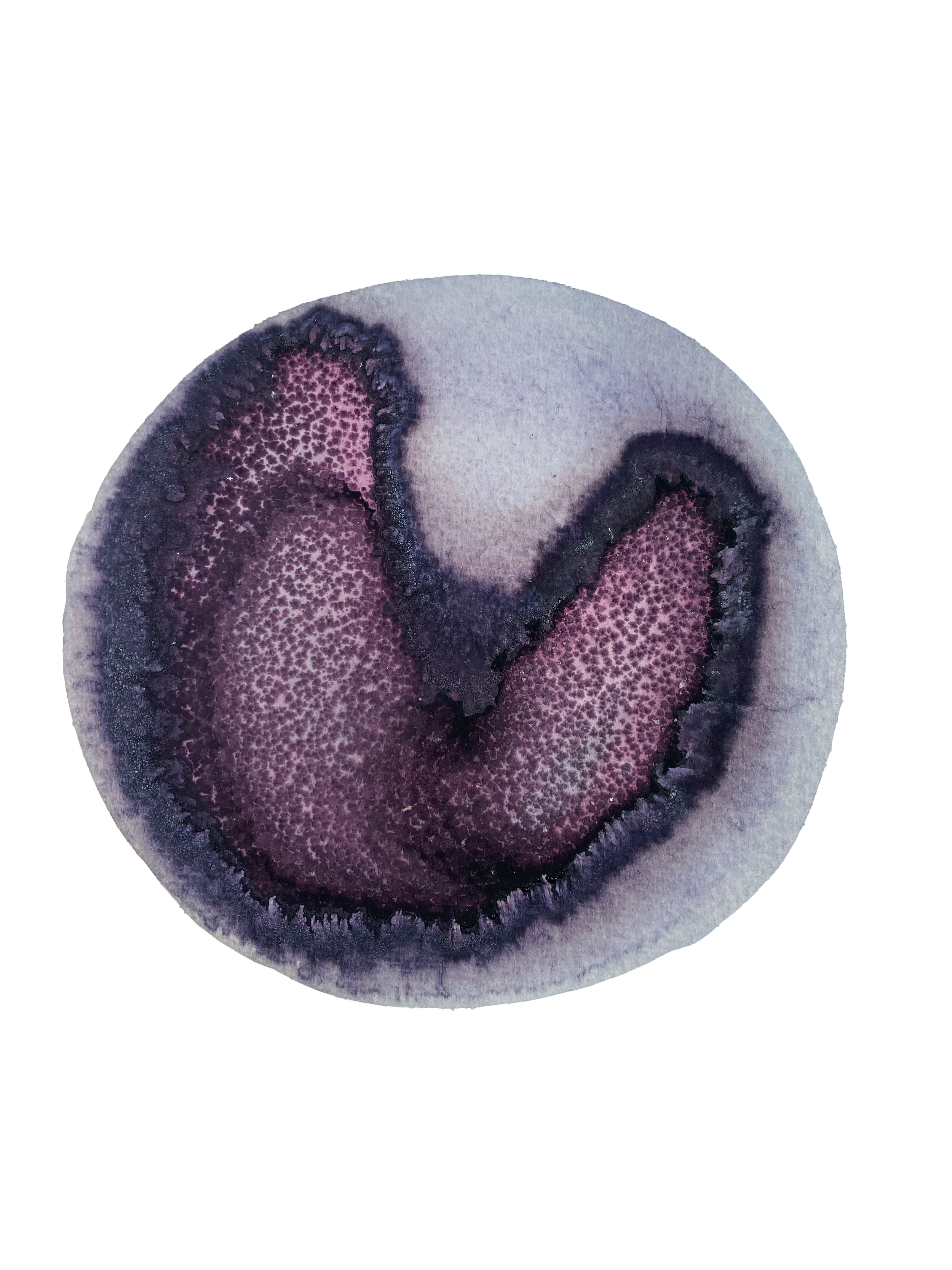 ink made from poppy petal