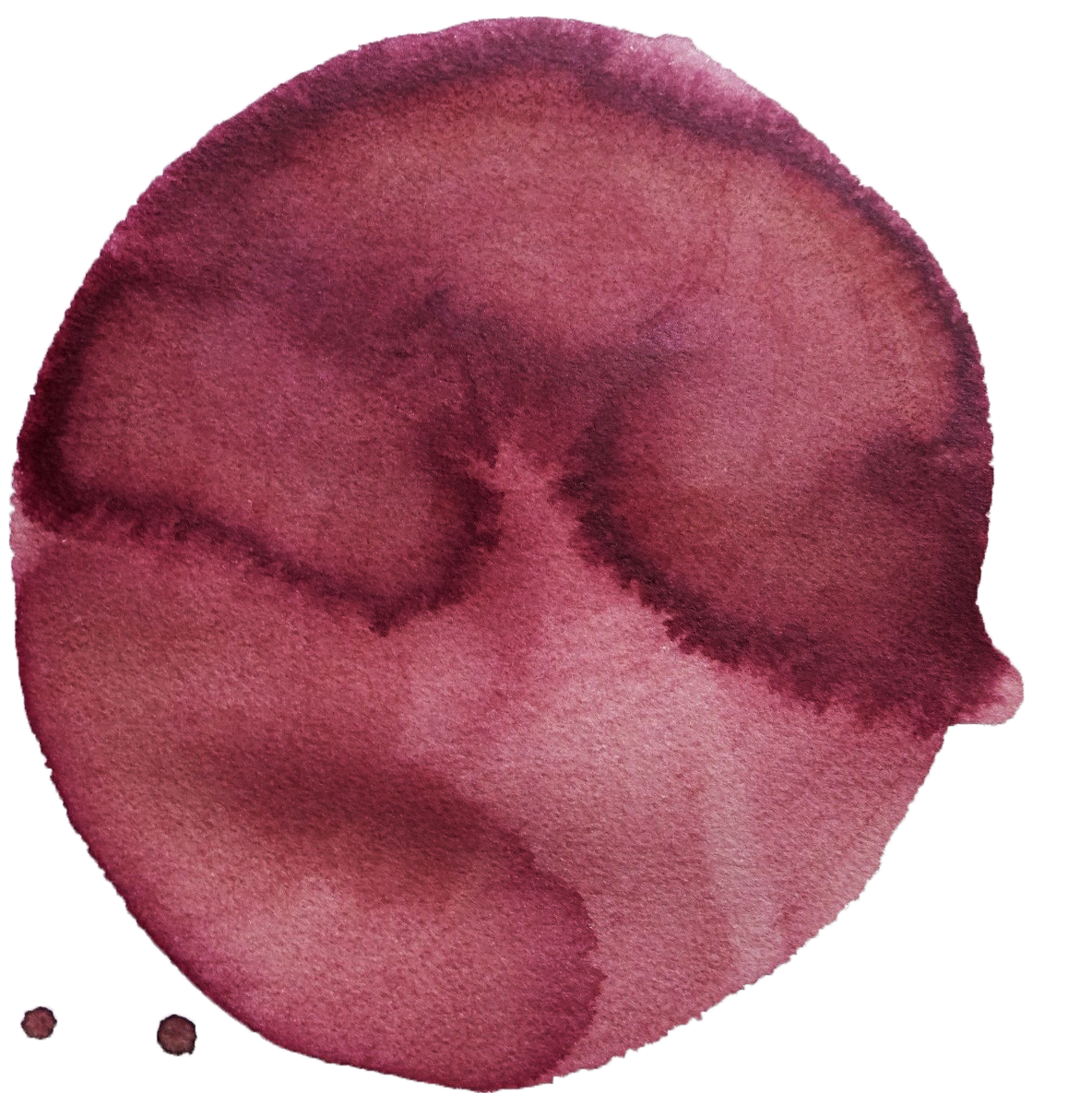 ink made from deep red rose petals