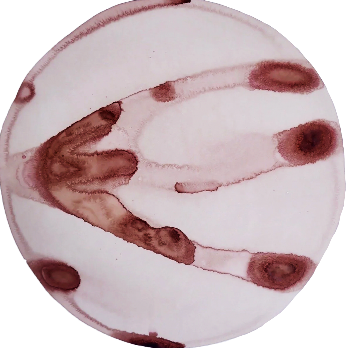 Ink made from fermented Beetroot, Pomegranate skin, Peony and Rose