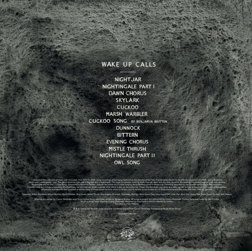 Screenshot 2026-03-30 at 17.33.31.png