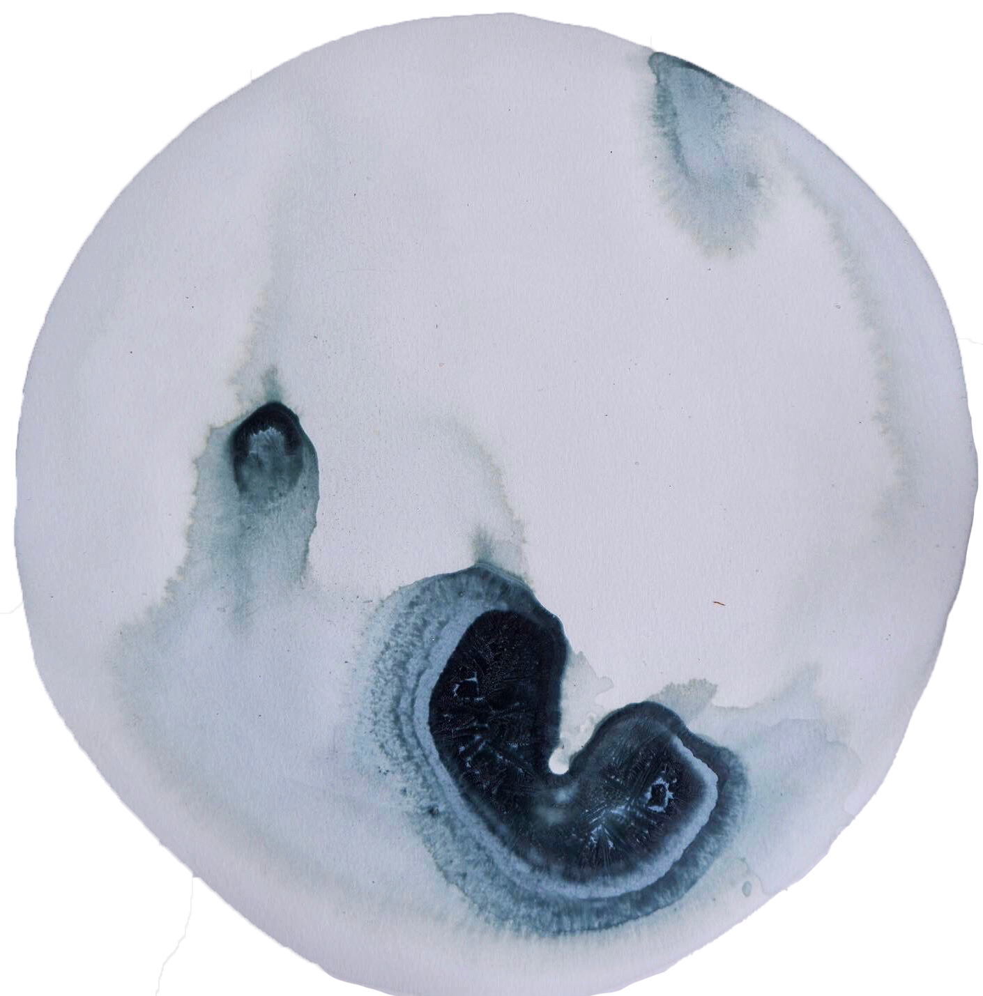 SPRING/SUMMER — ink made from delphinium petal