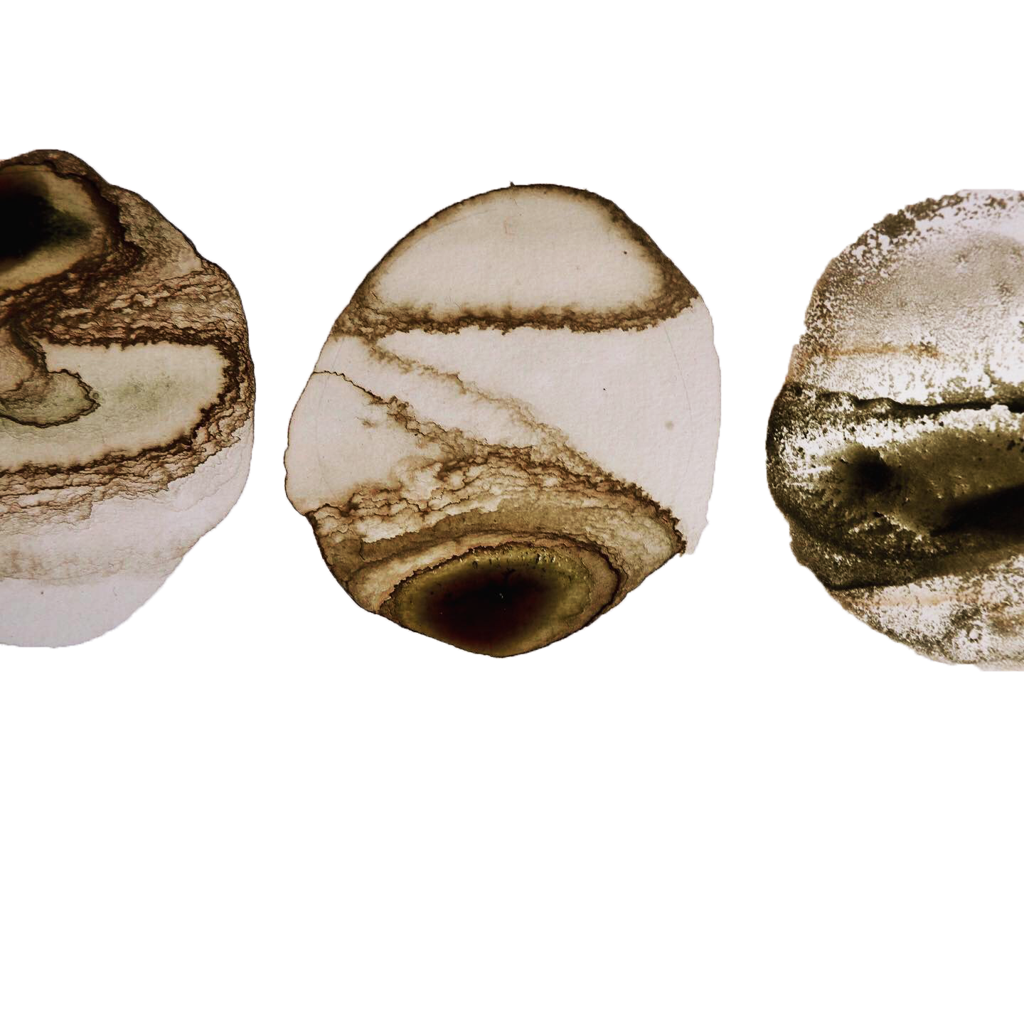 SPRING/SUMMER — ink made from nettle