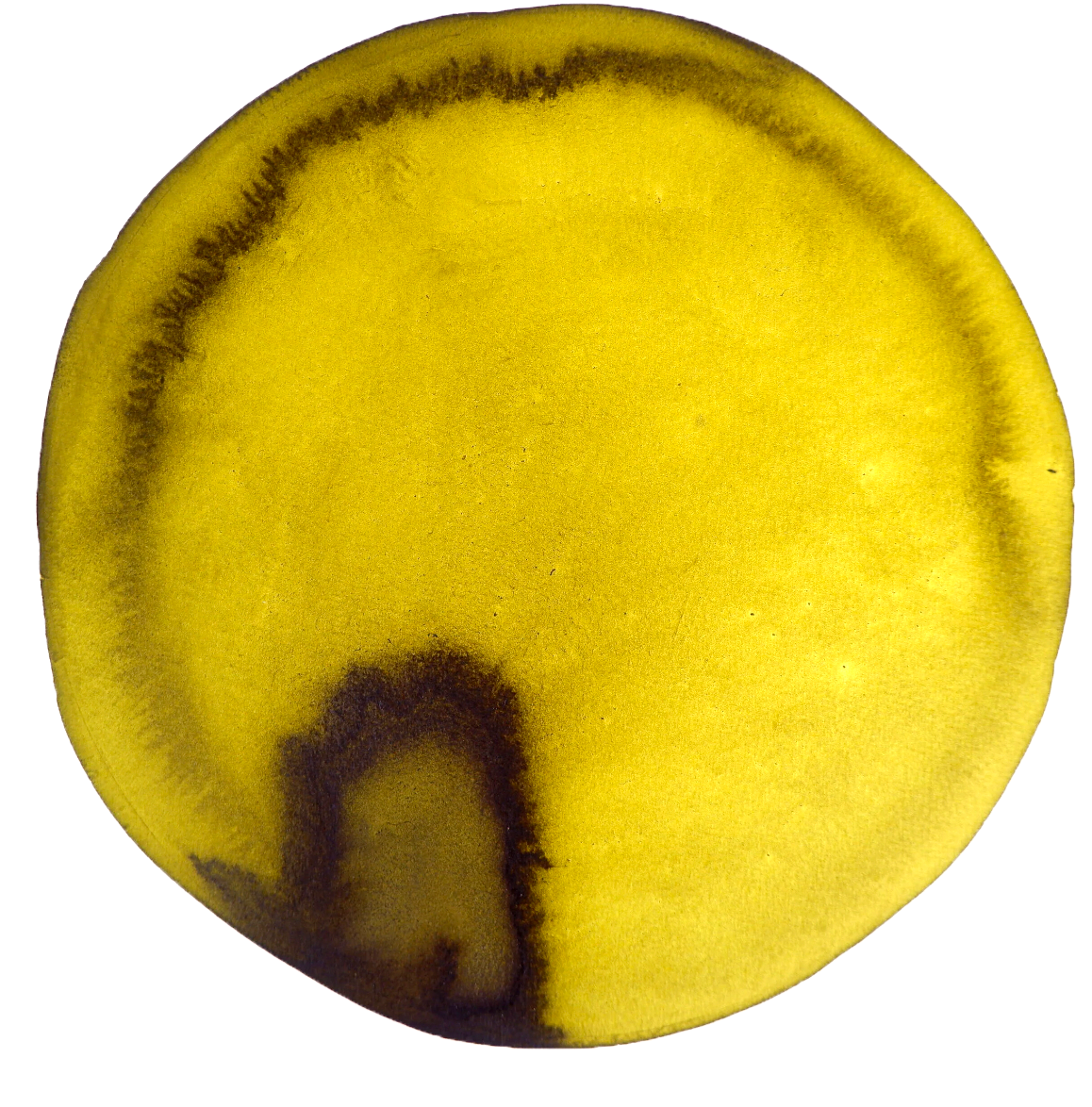 Buckthorn Berry Ink (Section Extraction)