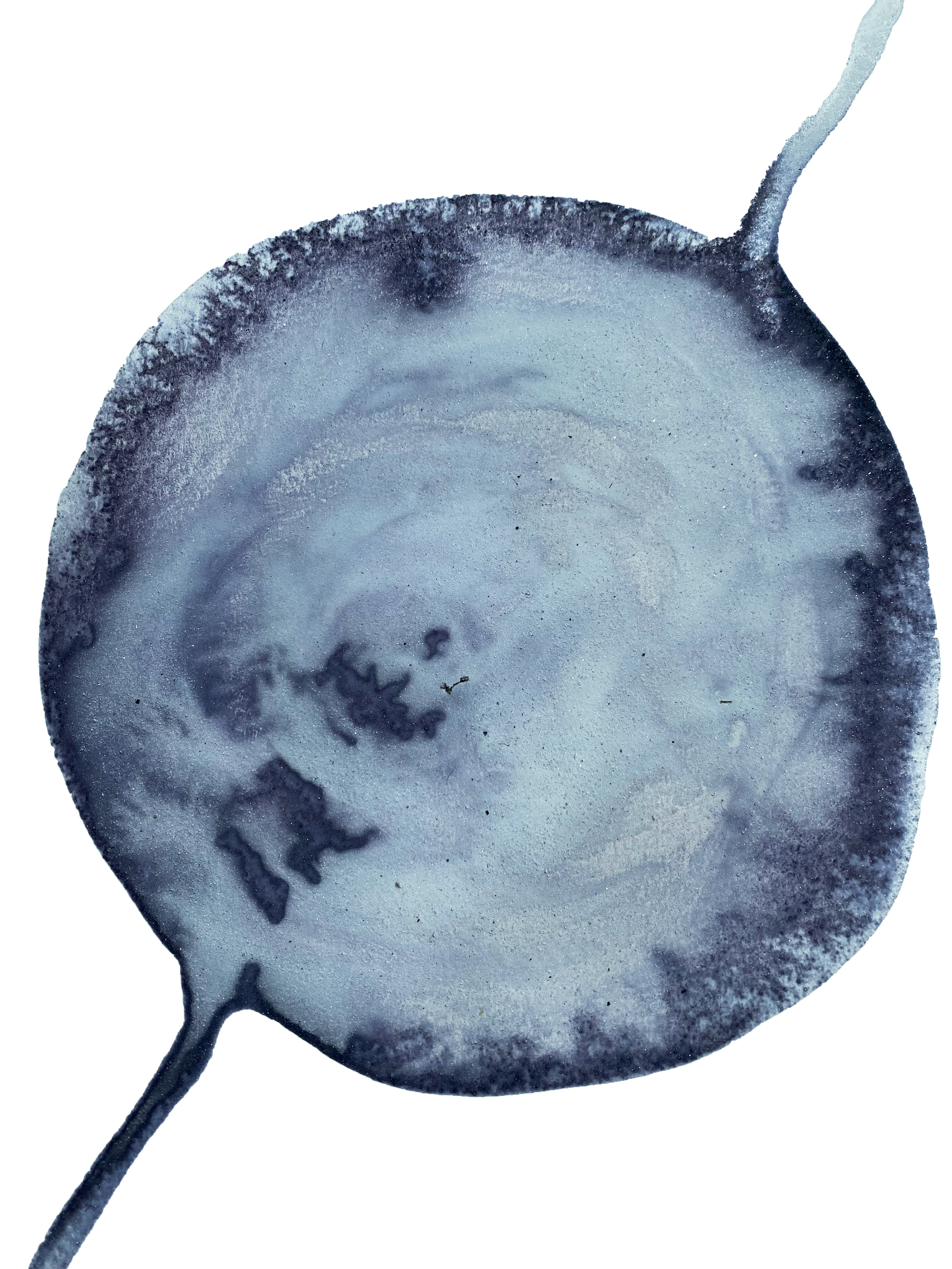 ink made from marble dust and poppy petal