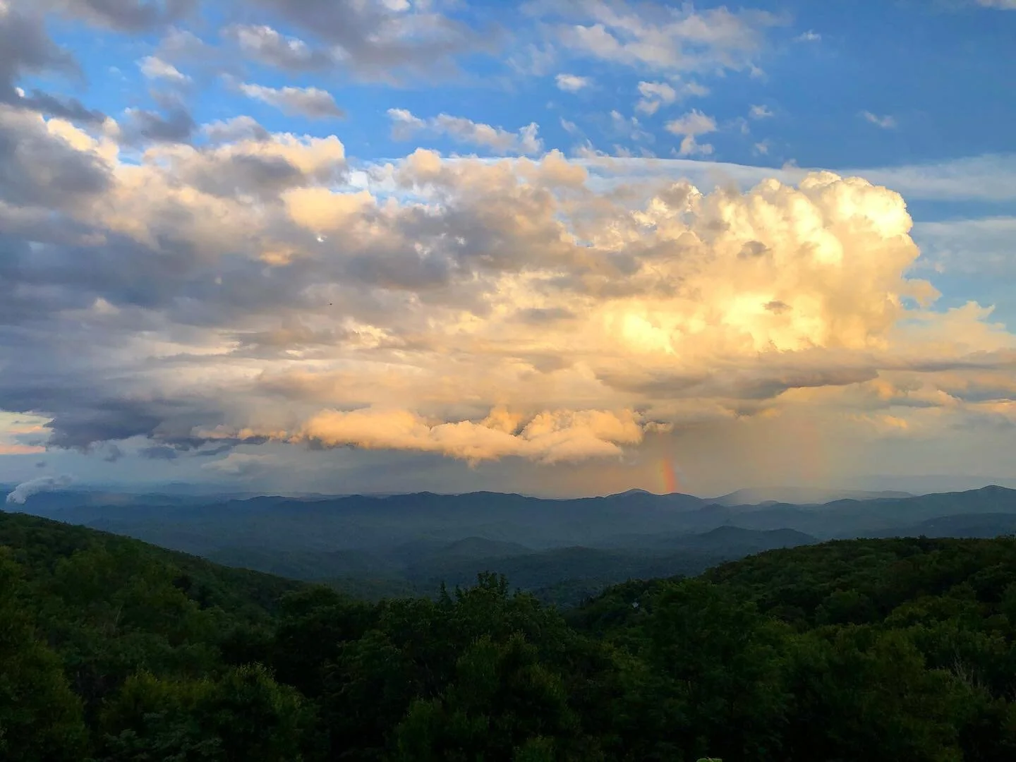 Boone sure is a beaut!
