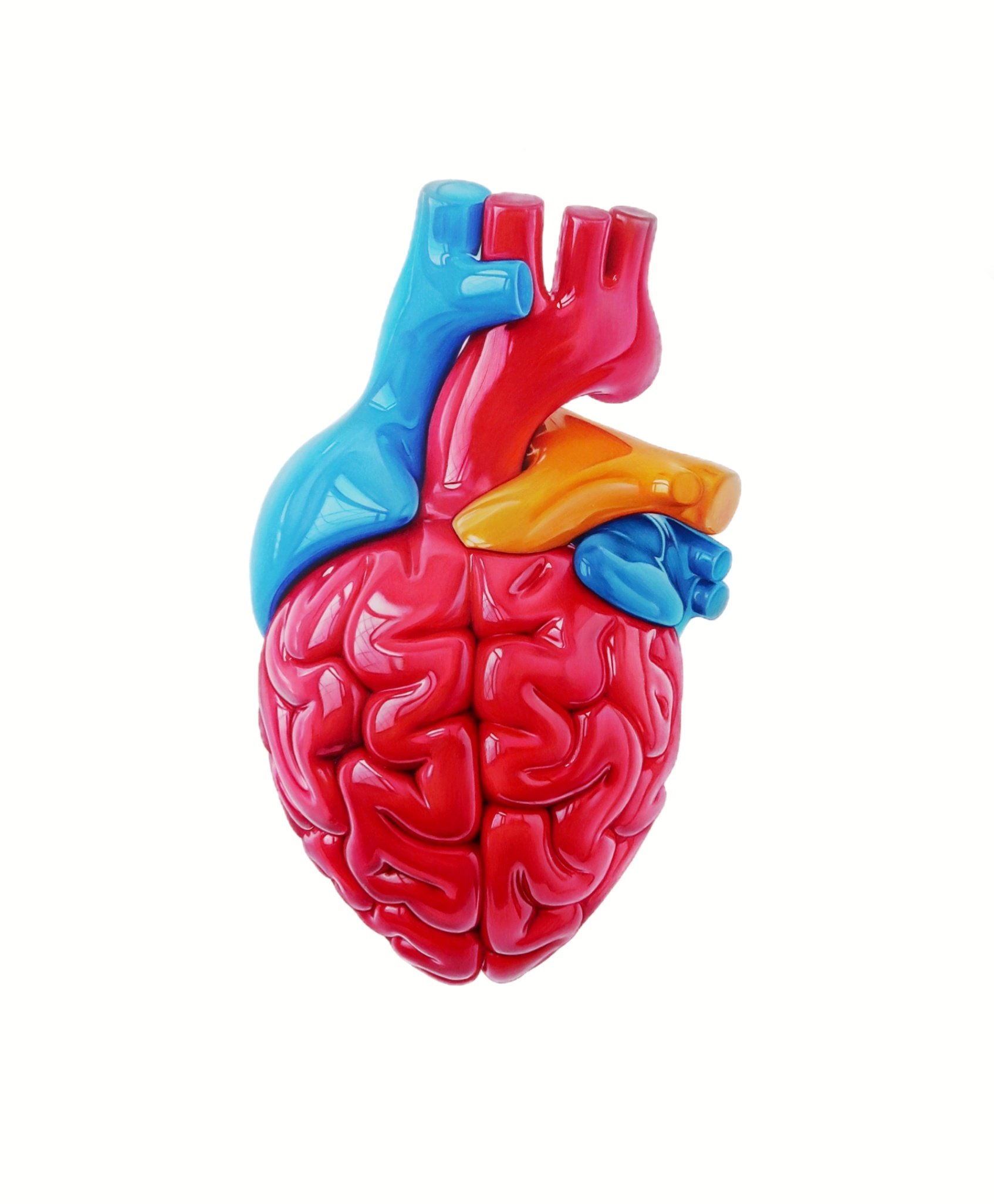 Brainheart.jpeg