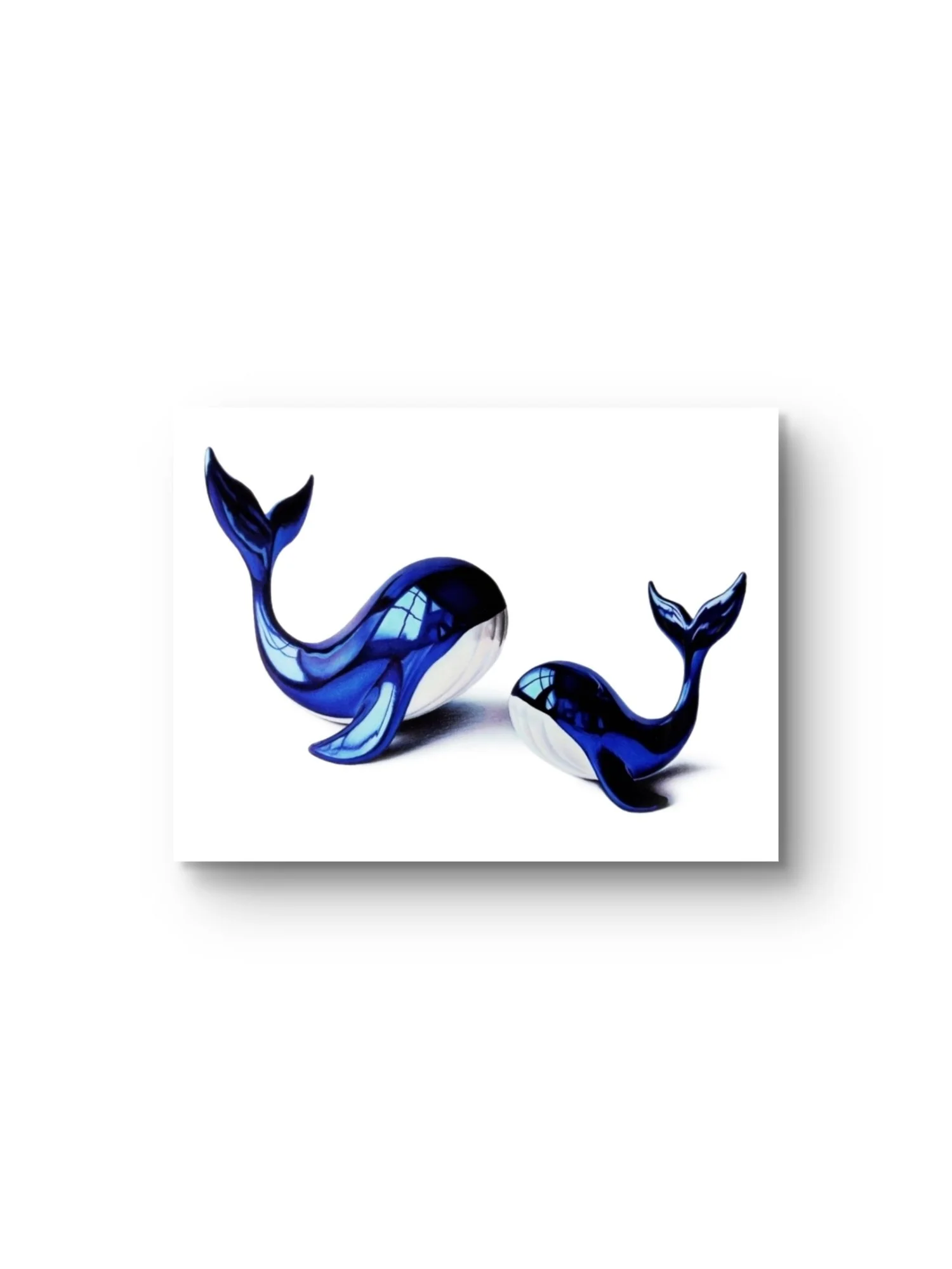 Blue Echo