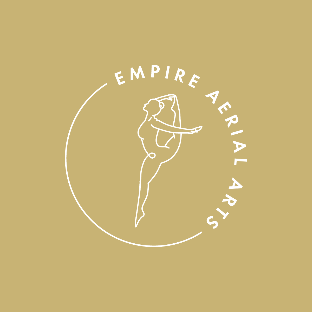 Pole Dance and Aerial Studio Logo