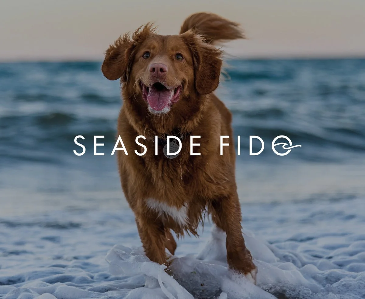 Online Store for Pet Boutique