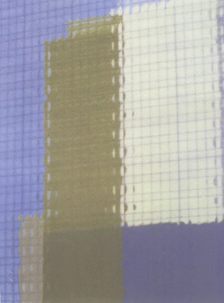 Fragment - screenprint 76 x 57cm Edition of 29