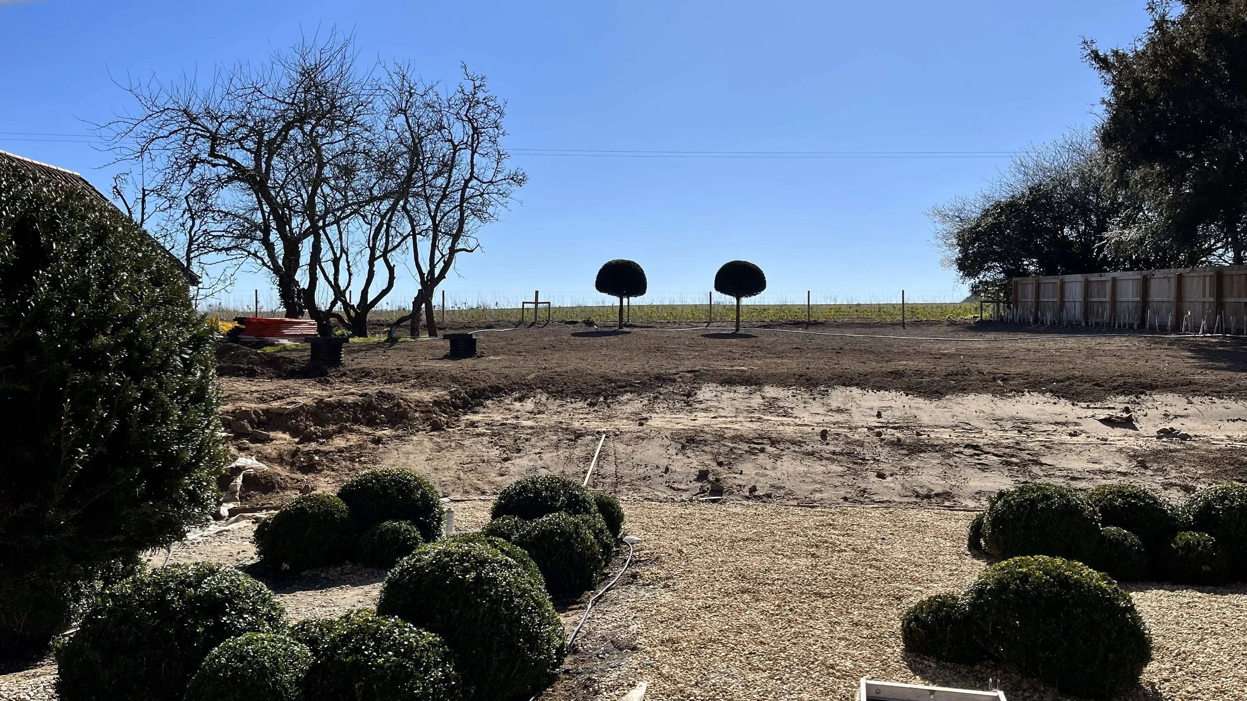 Early stages of a lawn build