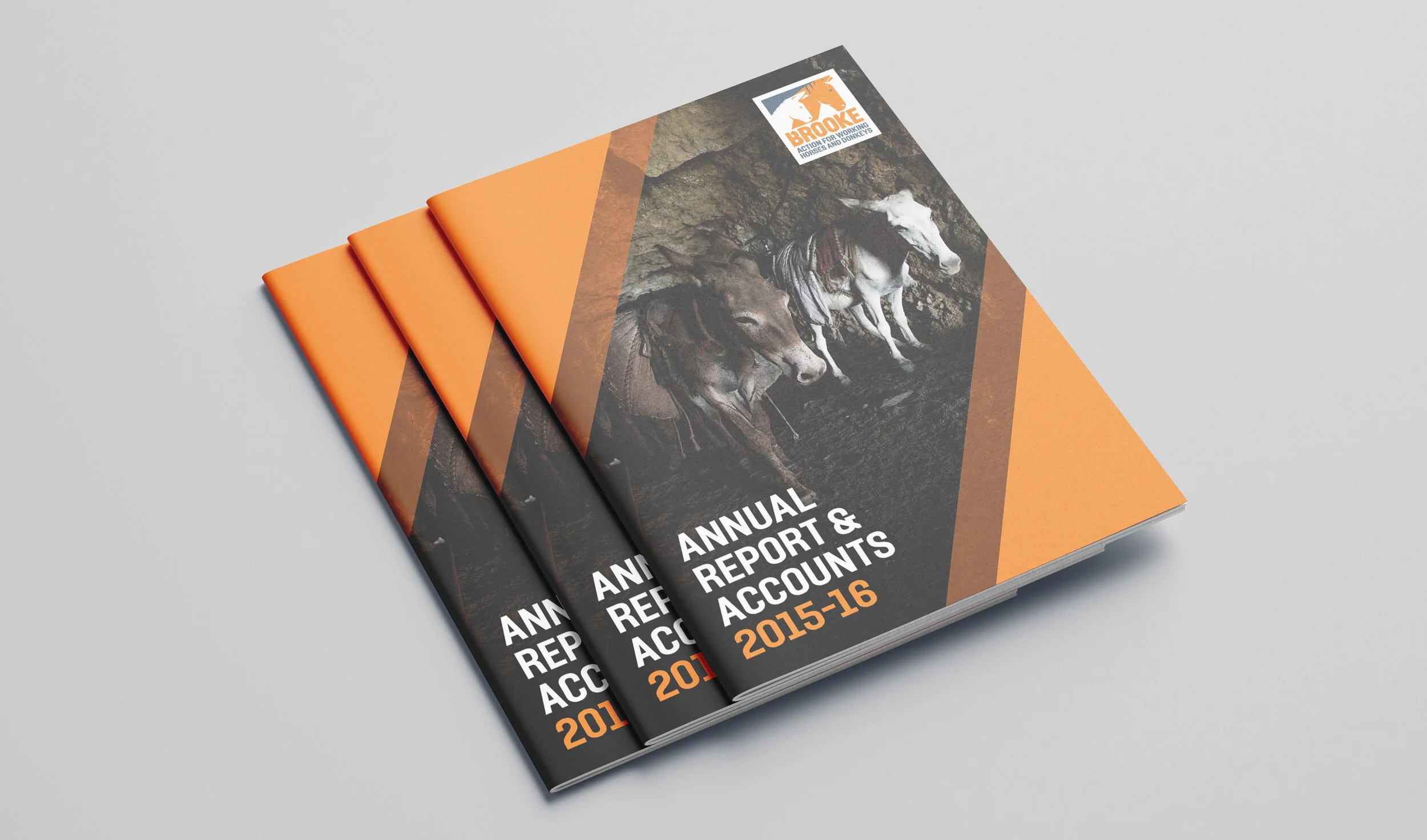 Mockup_Brooke_A4_Brochure1_v1.jpg