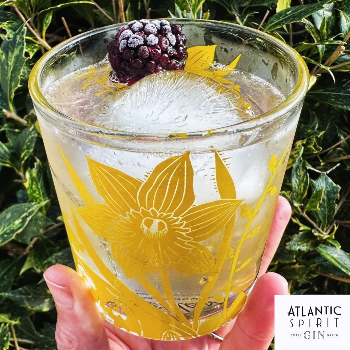 Lovely to see my Spring daffodil glass being put to good use @atlanticspirit featured here full of Samphire Gin and tonic. (Not sponsored) #kateheiss #daffodil #springhomedecor #springhomewares design licensed by @jehane_ltd for @halfmoonbaybydesign
