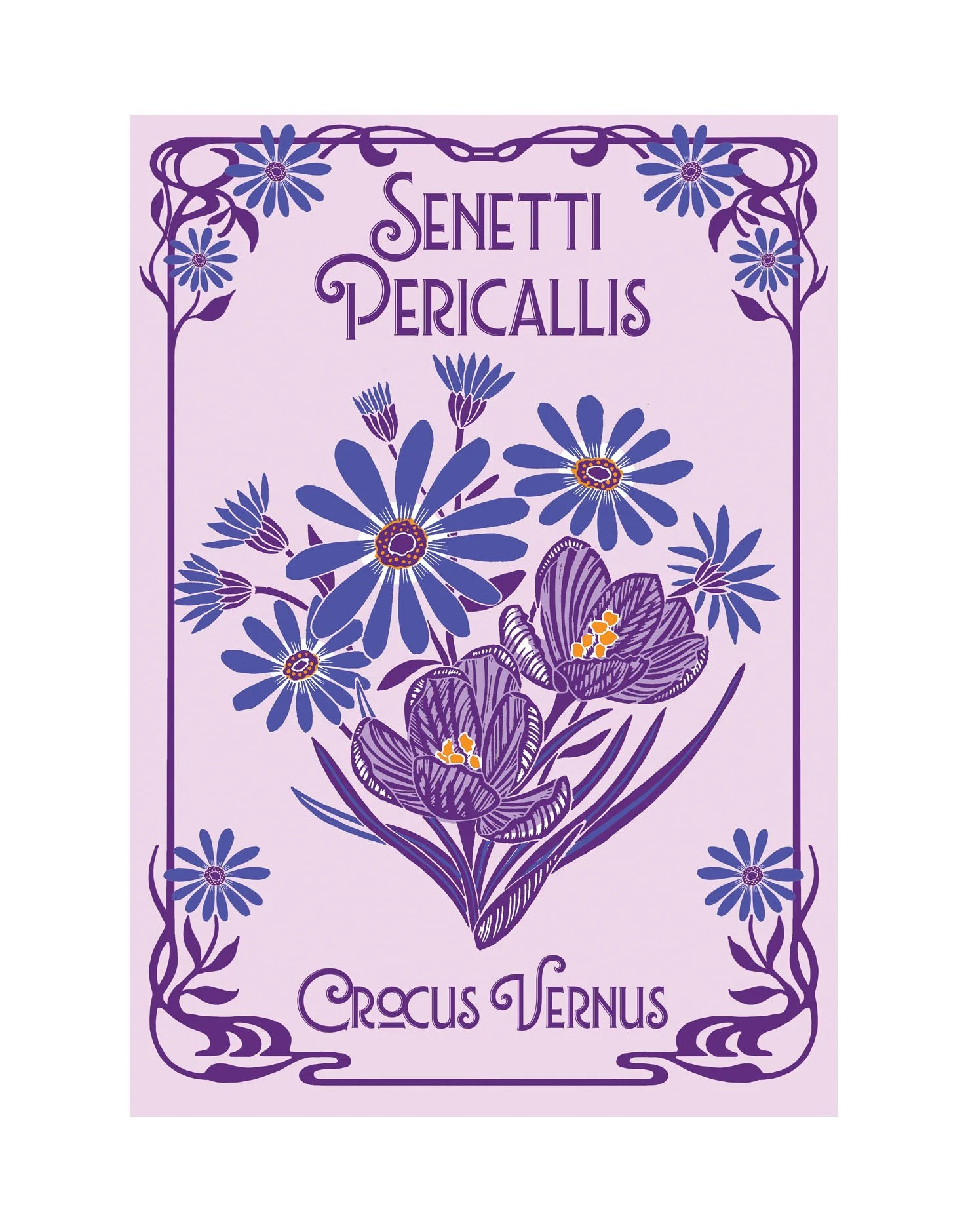 Senetti Pericallis