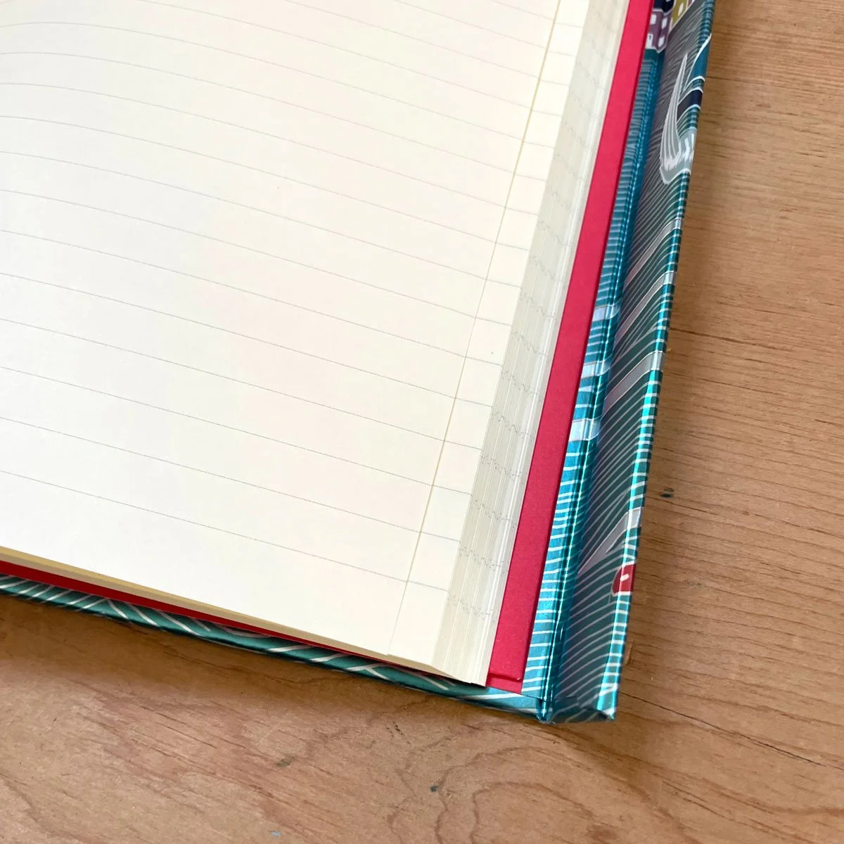 TernsJournal-pages.jpg
