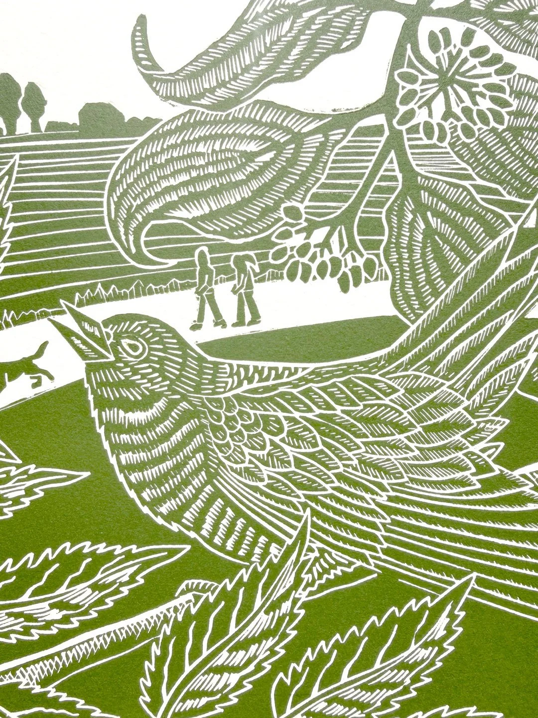 TheCuckoo-Detail.jpg