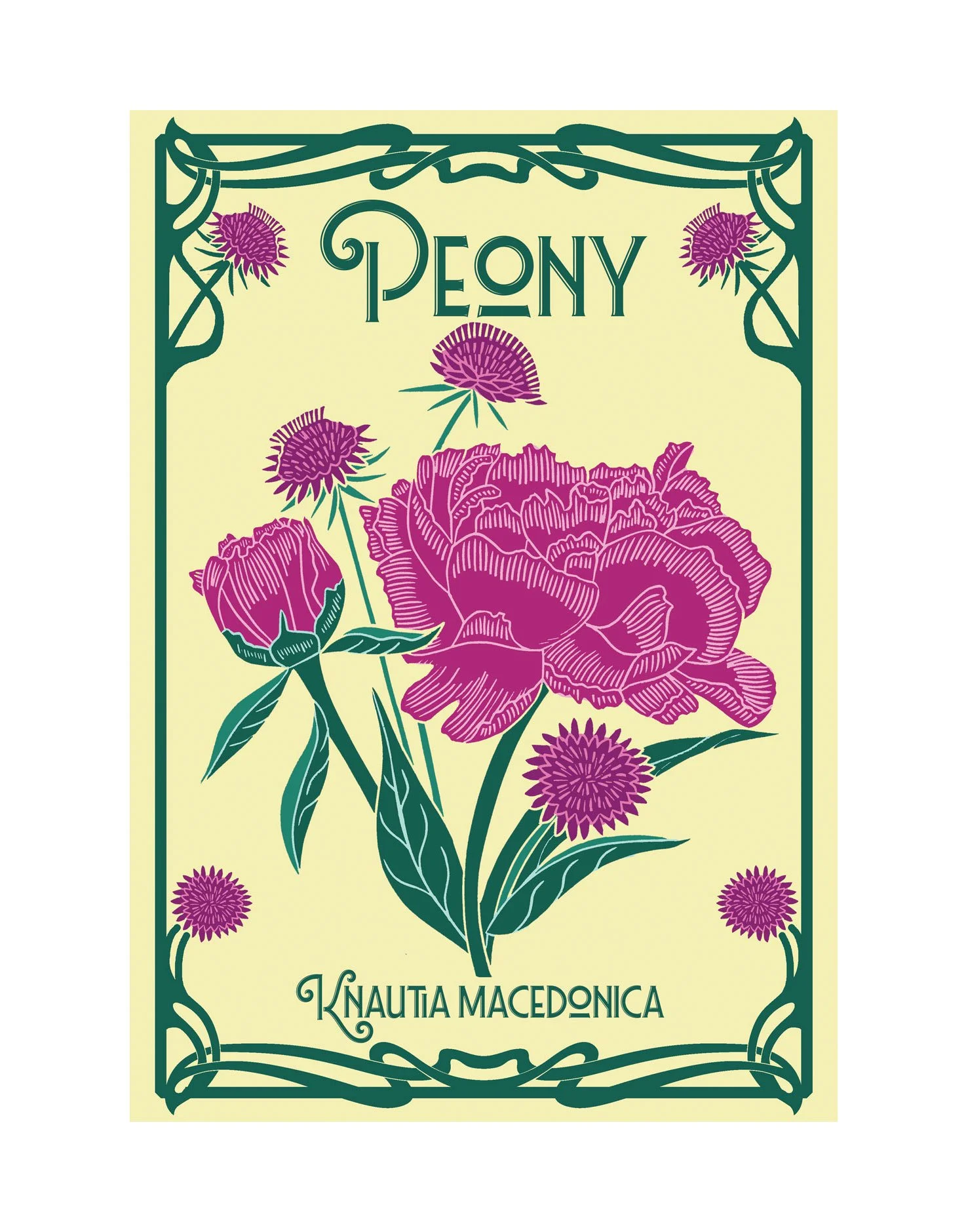 Peony