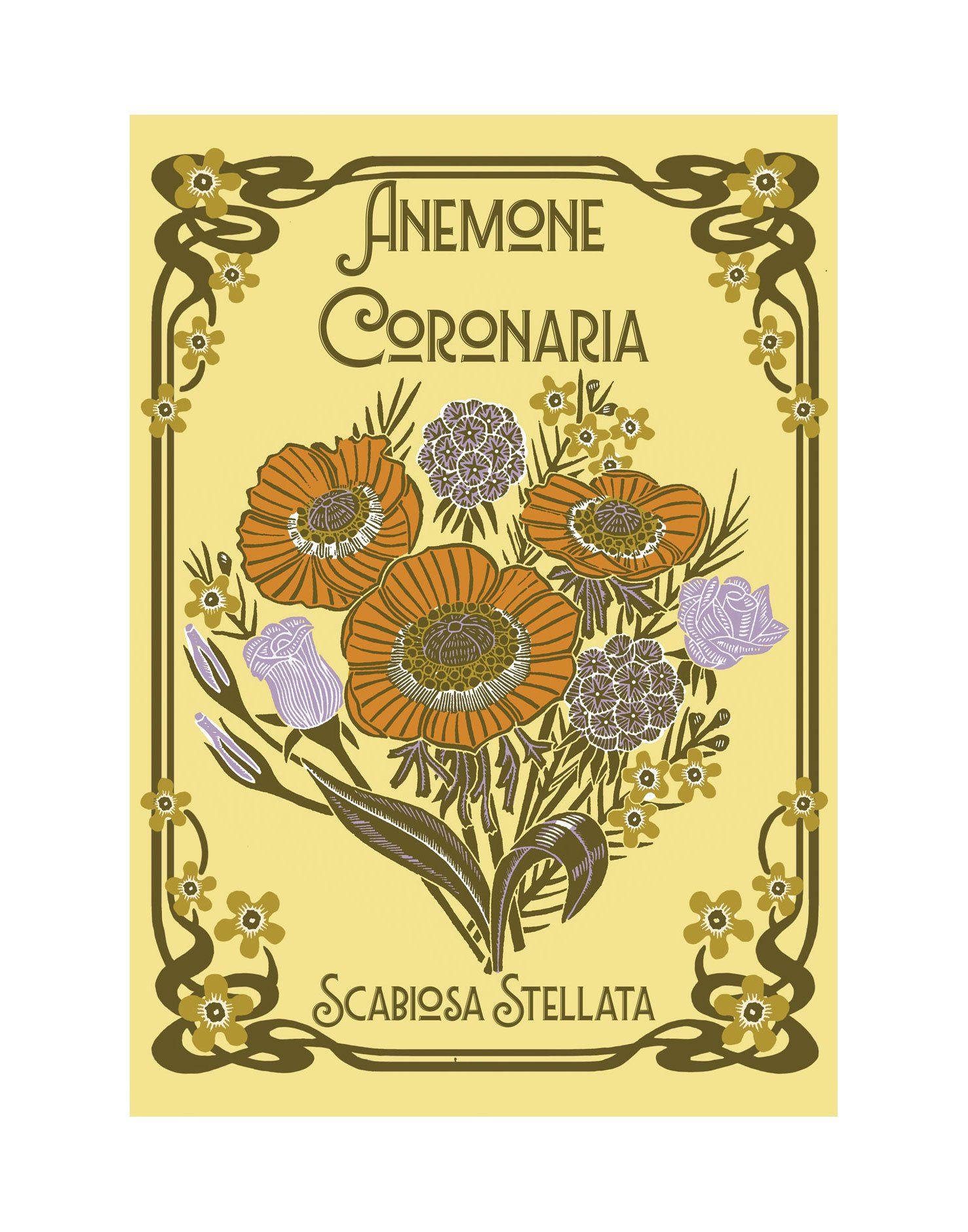 Anemone