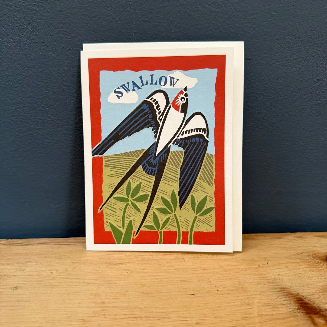 Swallow-Front.jpg
